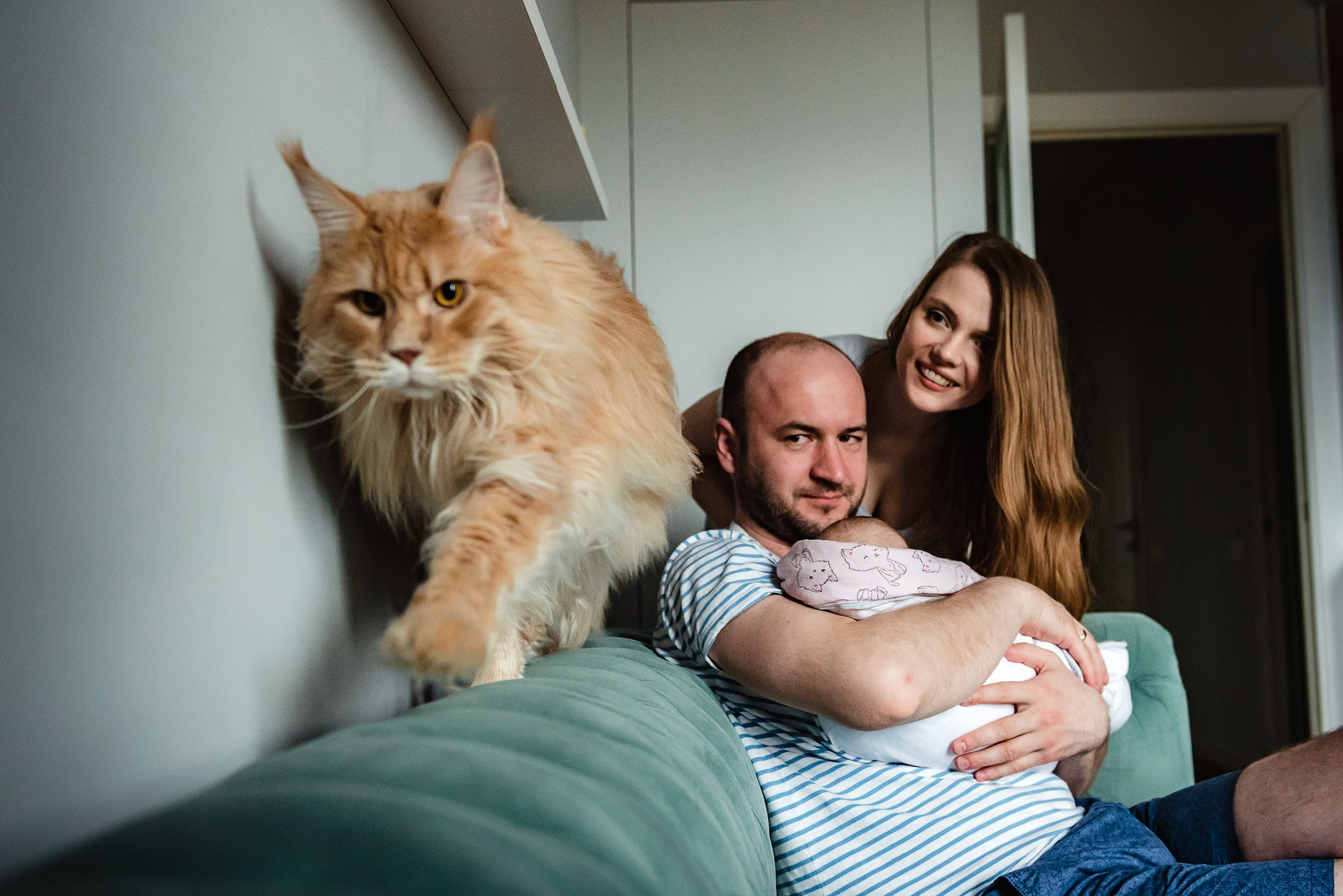 Алена, Виктор, Оливка и Ластик. Семейный Фотограф в Москве Ирина Хохлова