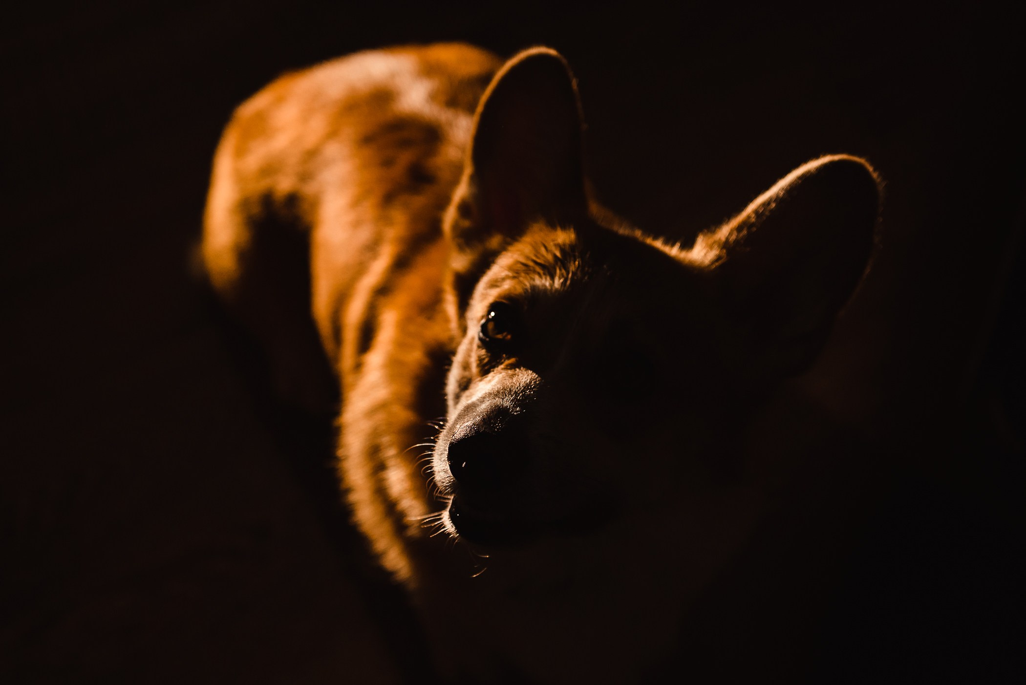 Пижамная вечеринка Тани и Димы. Семейный Фотограф в Москве Ирина Хохлова