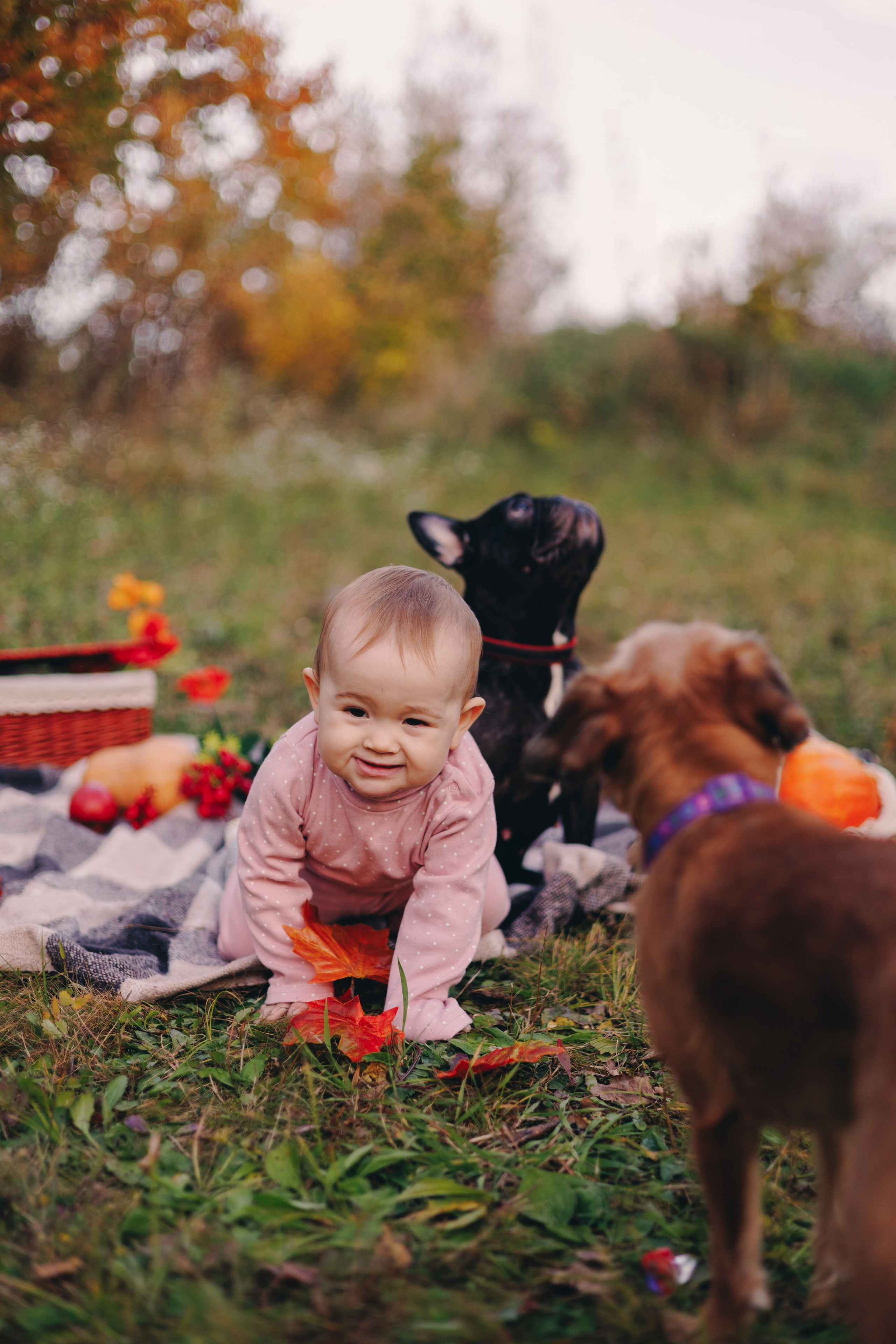 Детский семейный фотограф. Детский и семейный фотограф  Биробиджан Оля Светагор