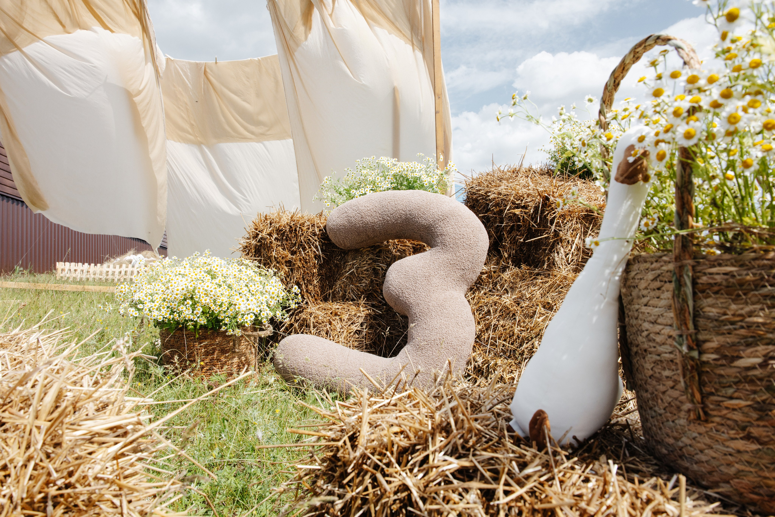 ГЕНДЕР ПАТИ. Фотограф в Красноярске