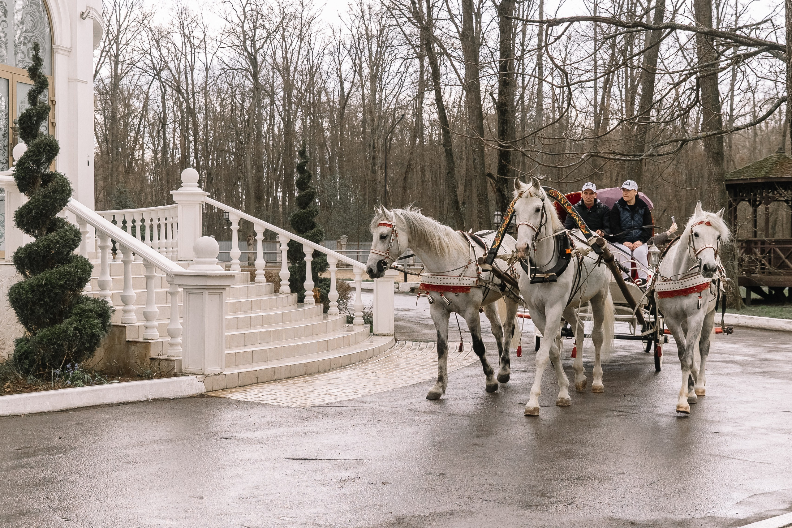День Орловского рысака. Парк-отель Яр. Свадебный, репортажный фотограф Ирина Шкурина