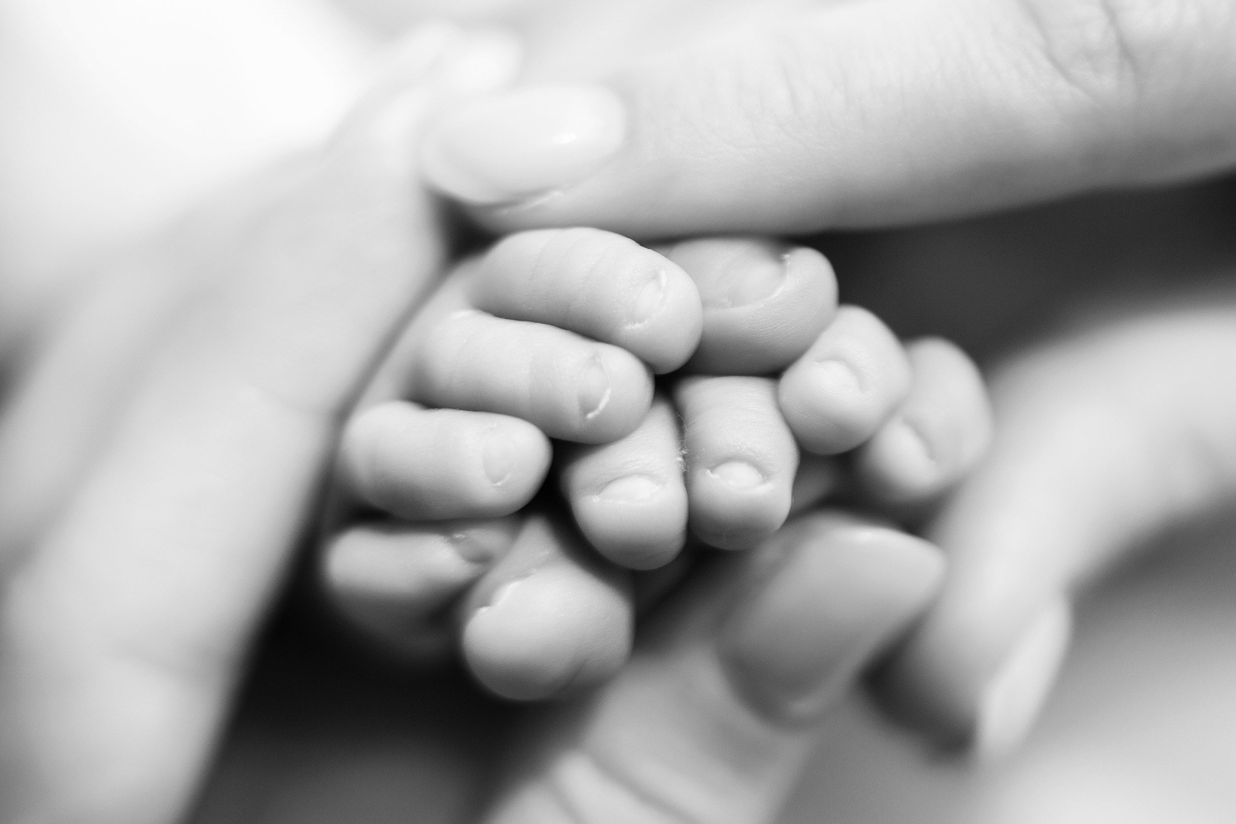 ЕВА Life. Фотограф новорожденных Оксана Полевская