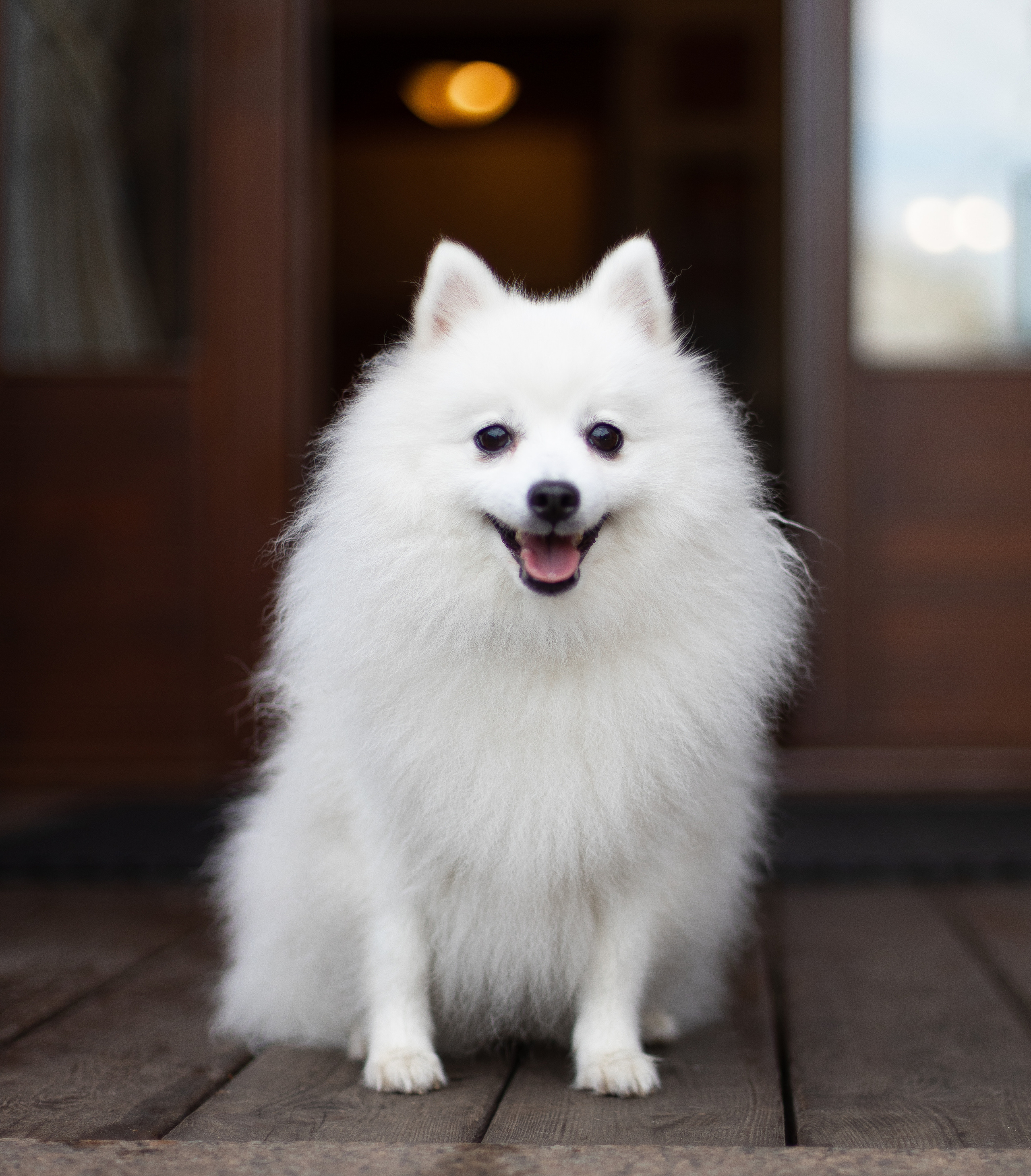 Ирина&Павел. Пирогова Полина, семейный и детский фотограф Москва, Видное