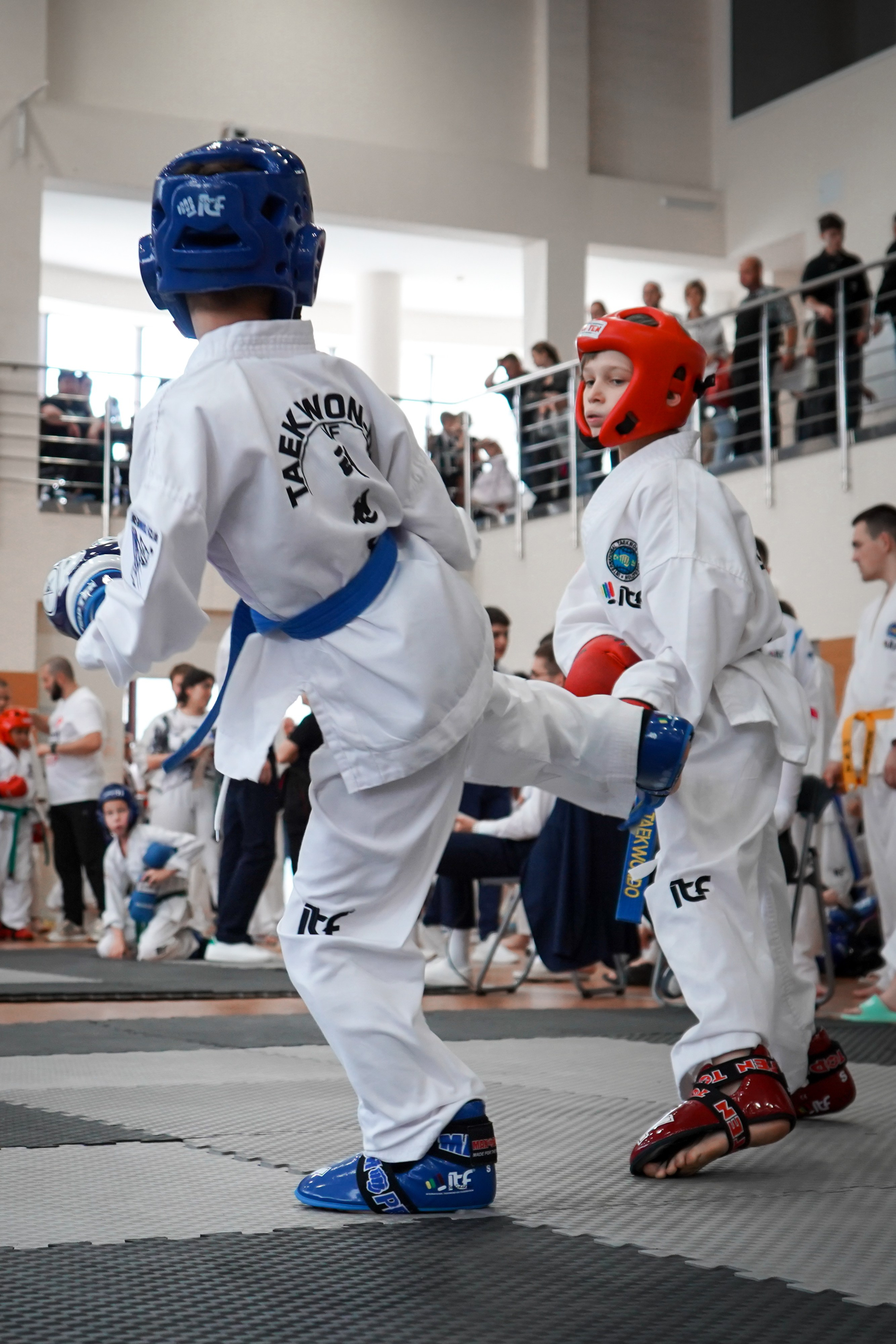 Тхэквандо — соревнования. Выпускные альбомы Натальи Бутко: Новороссийск, Анапа, Геленджик