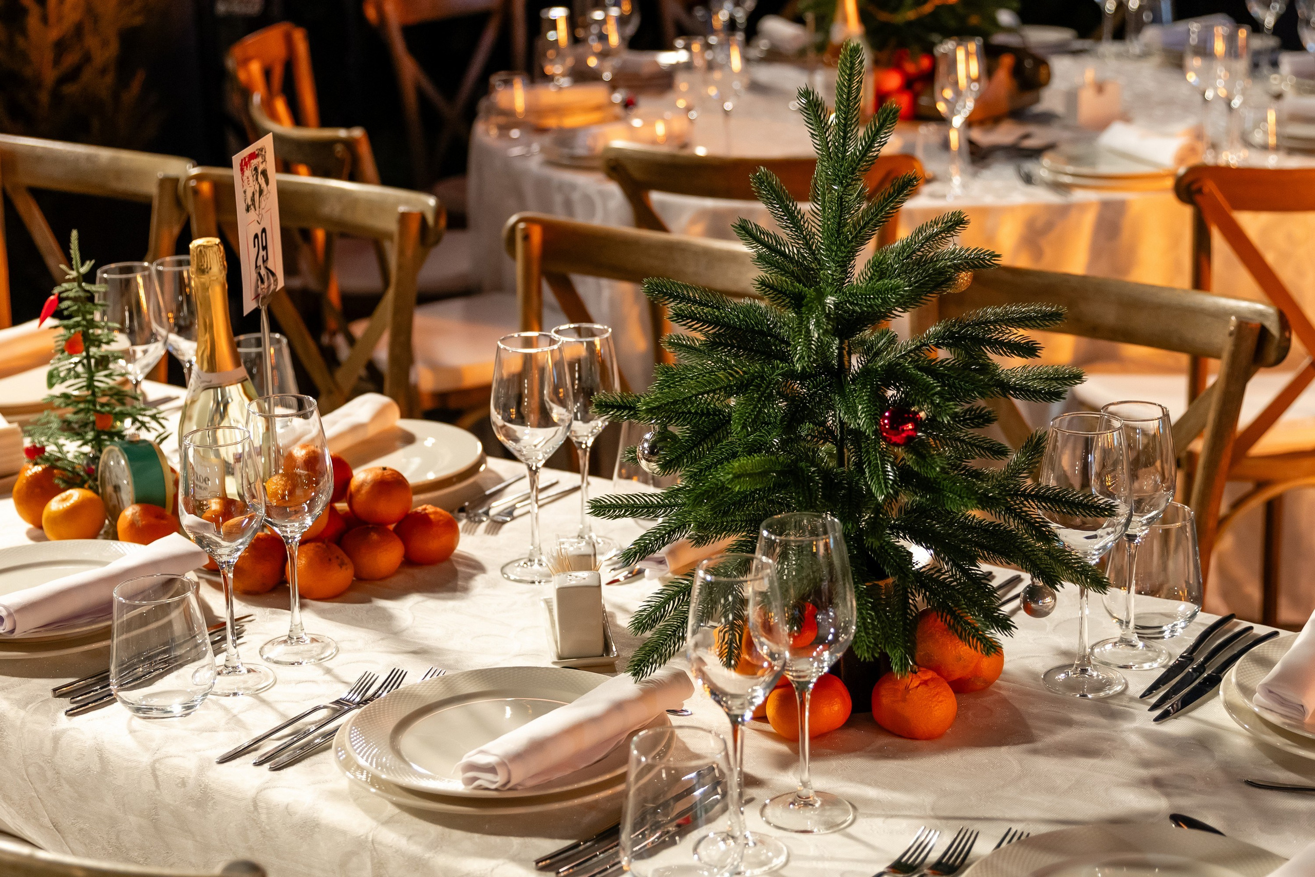 Карнавальная ночь 2025. Свадебный фотограф Москва