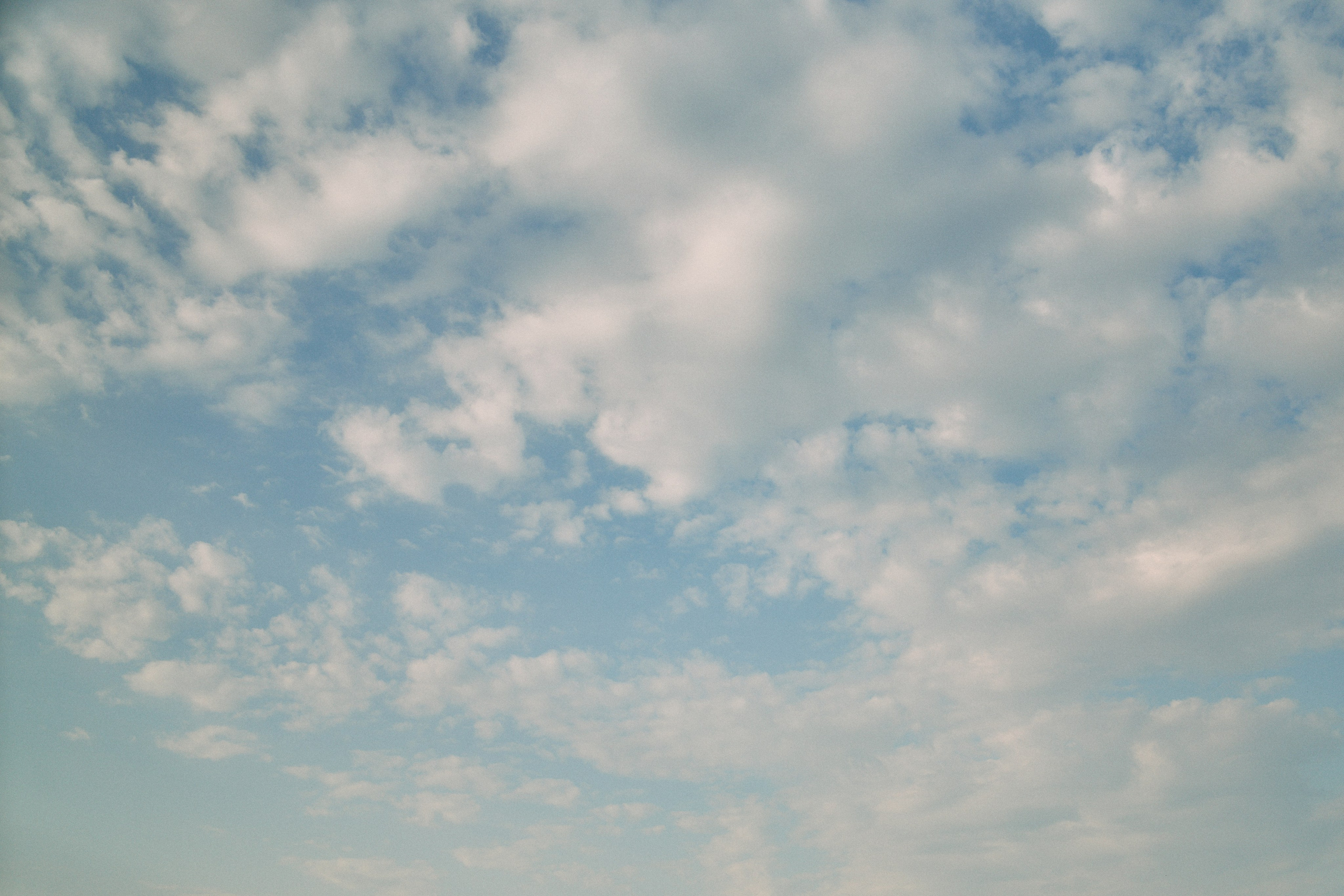 Бутик-отель Поле летом. Профессиональный Фотограф во Владимире, в Москве и в Суздале — Полина Романычева