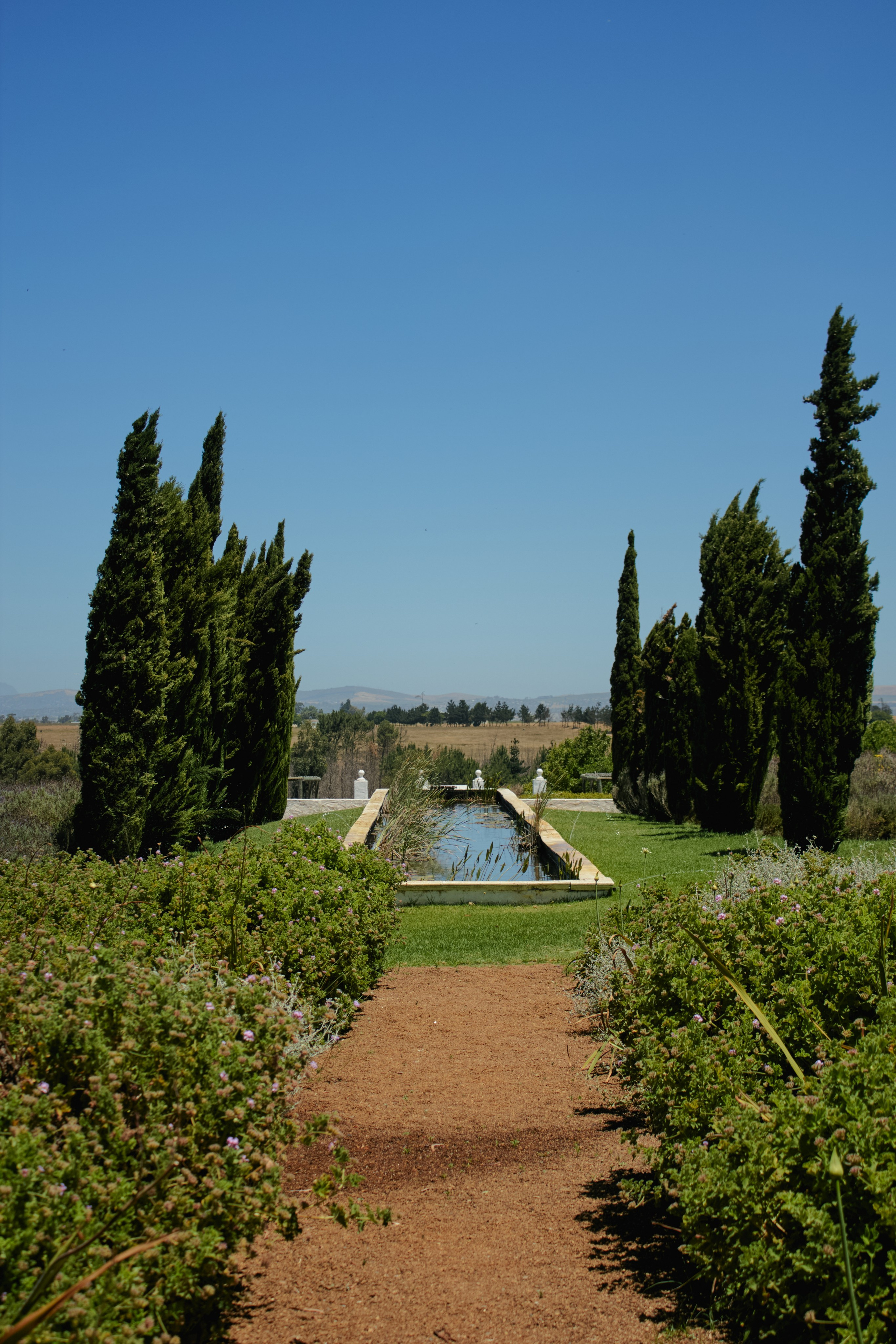 ЮАР. Профессиональный Фотограф во Владимире, в Москве и в Суздале — Полина Романычева