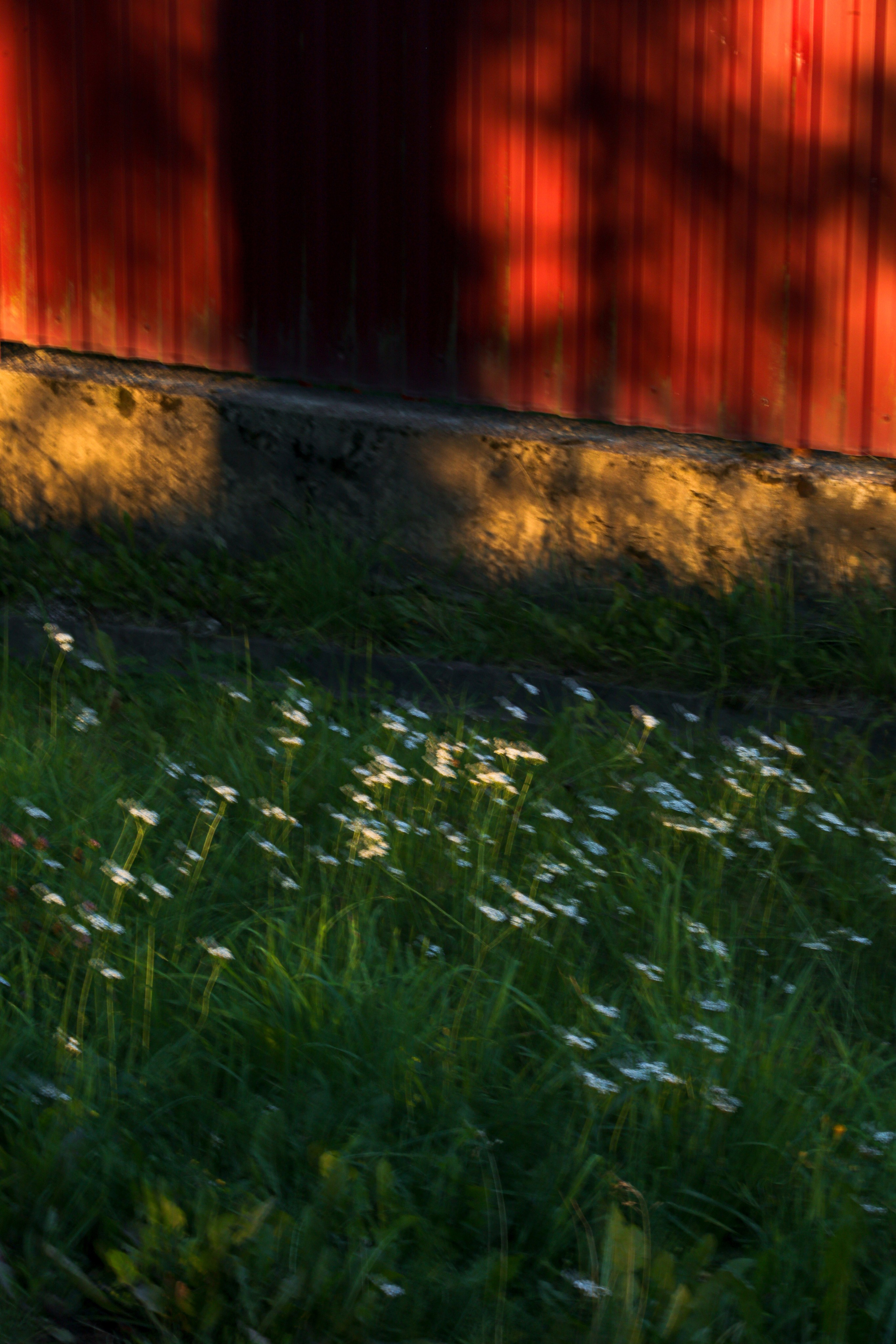 Природа &. Фотохудожник в СПб