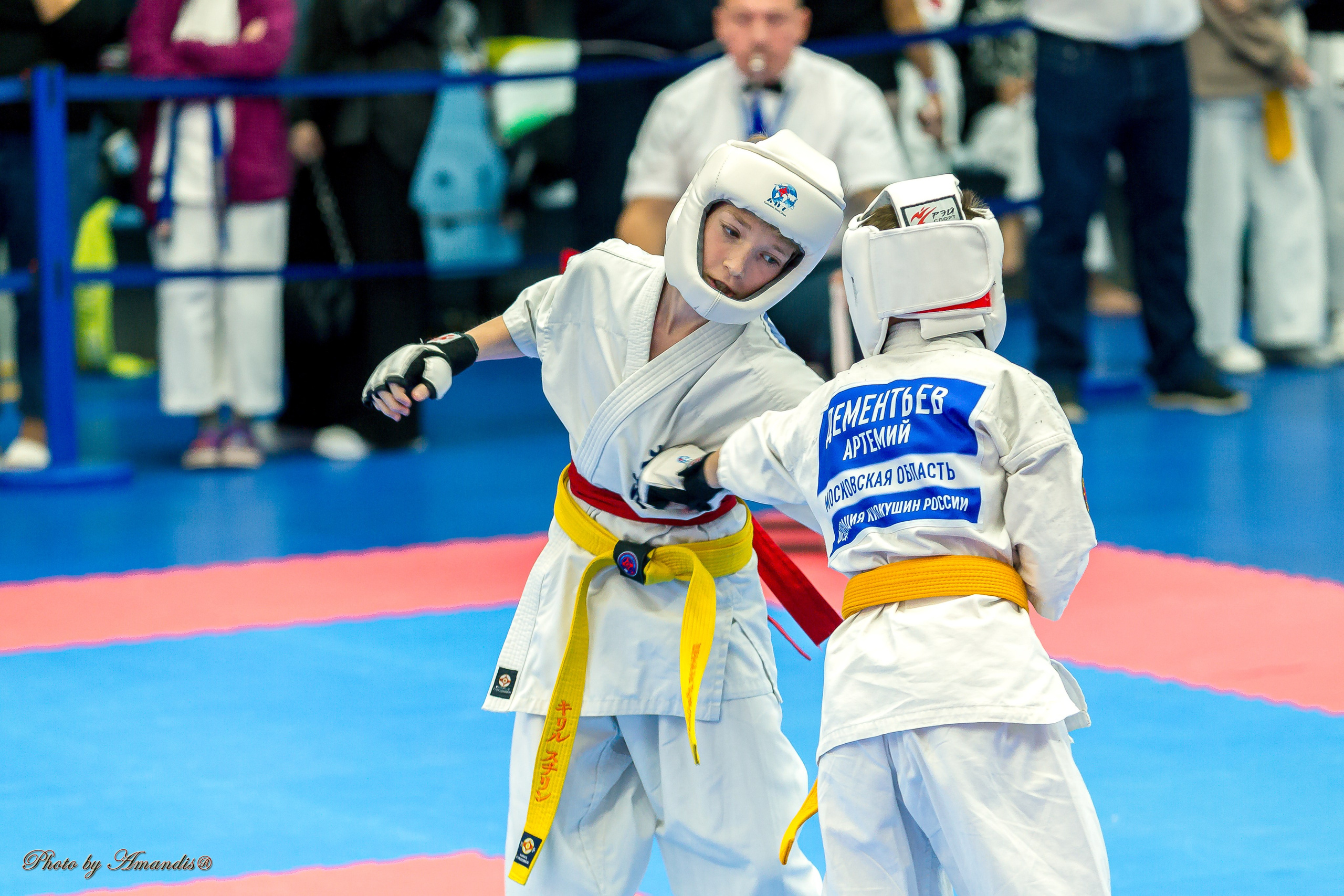 Чемпионат по Киокушинкай Центрального Федерального округа. Репортажная съемка в Москве и области. Анималистика