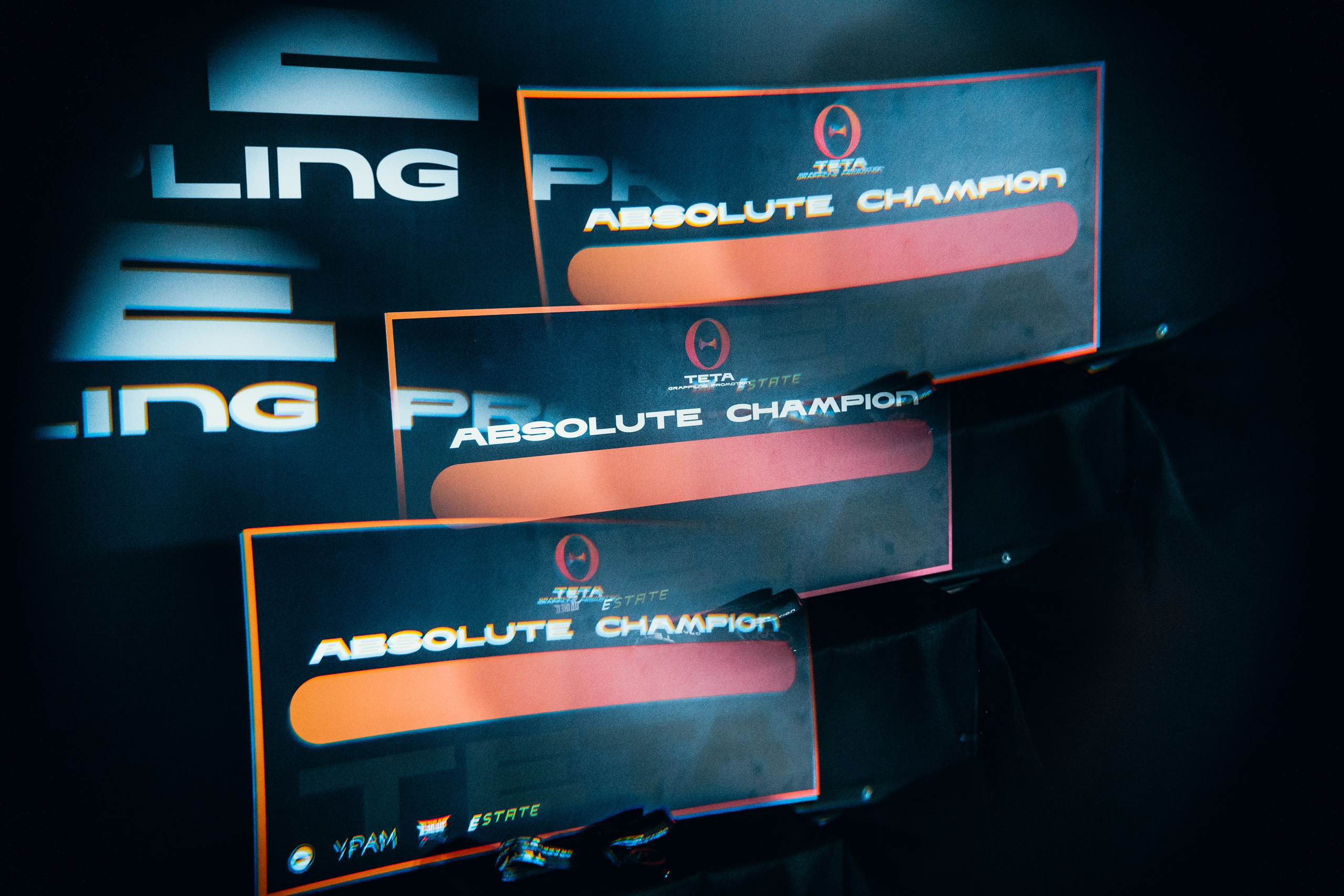 Турнир Teta Promotion 2024. Главная