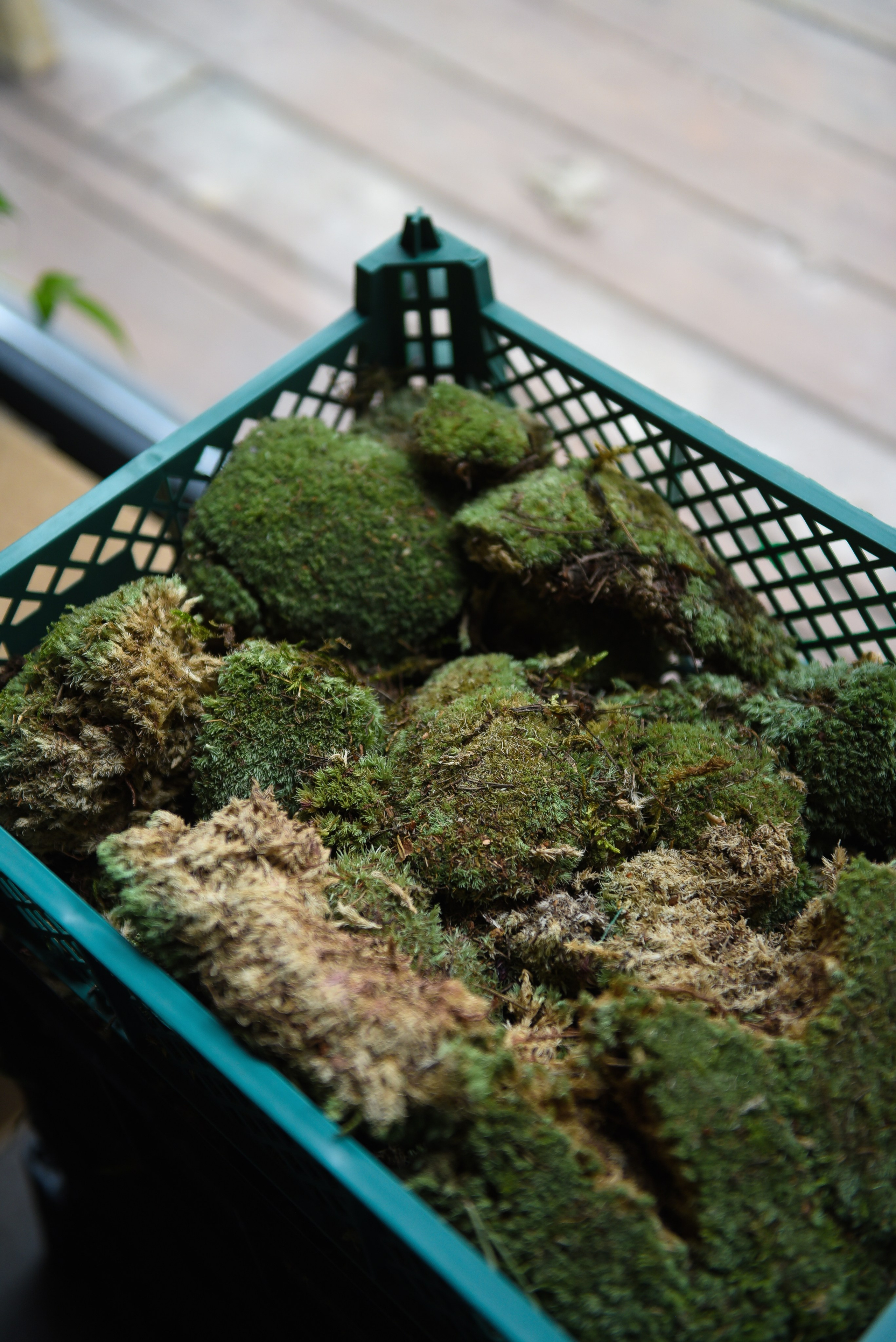 Hide backstage. Фотограф, визажист. Москва