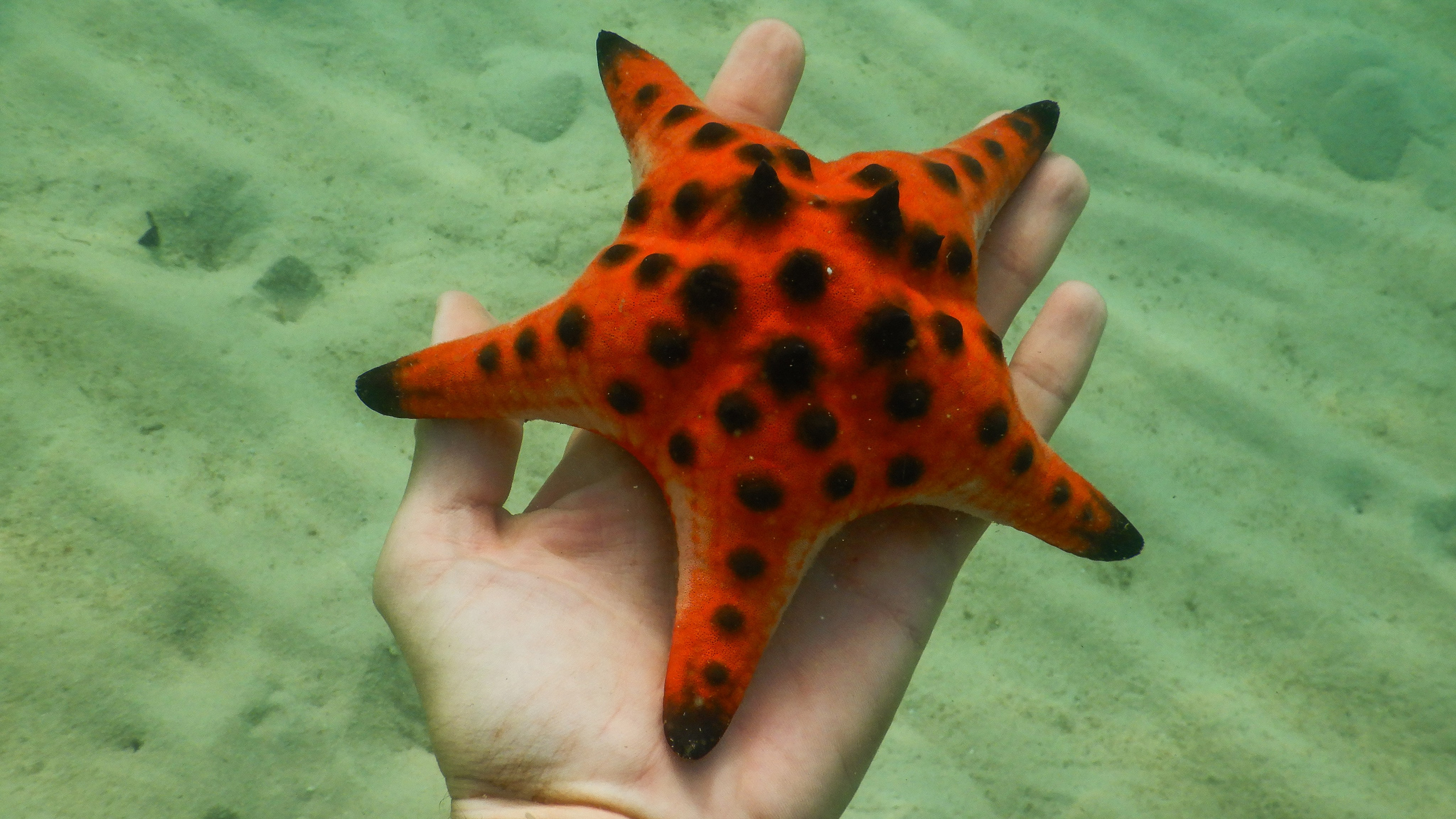 Остров Фукуок, Вьетнам. Фотограф Сергей Кишкель Дананг Нячанг Фукуок