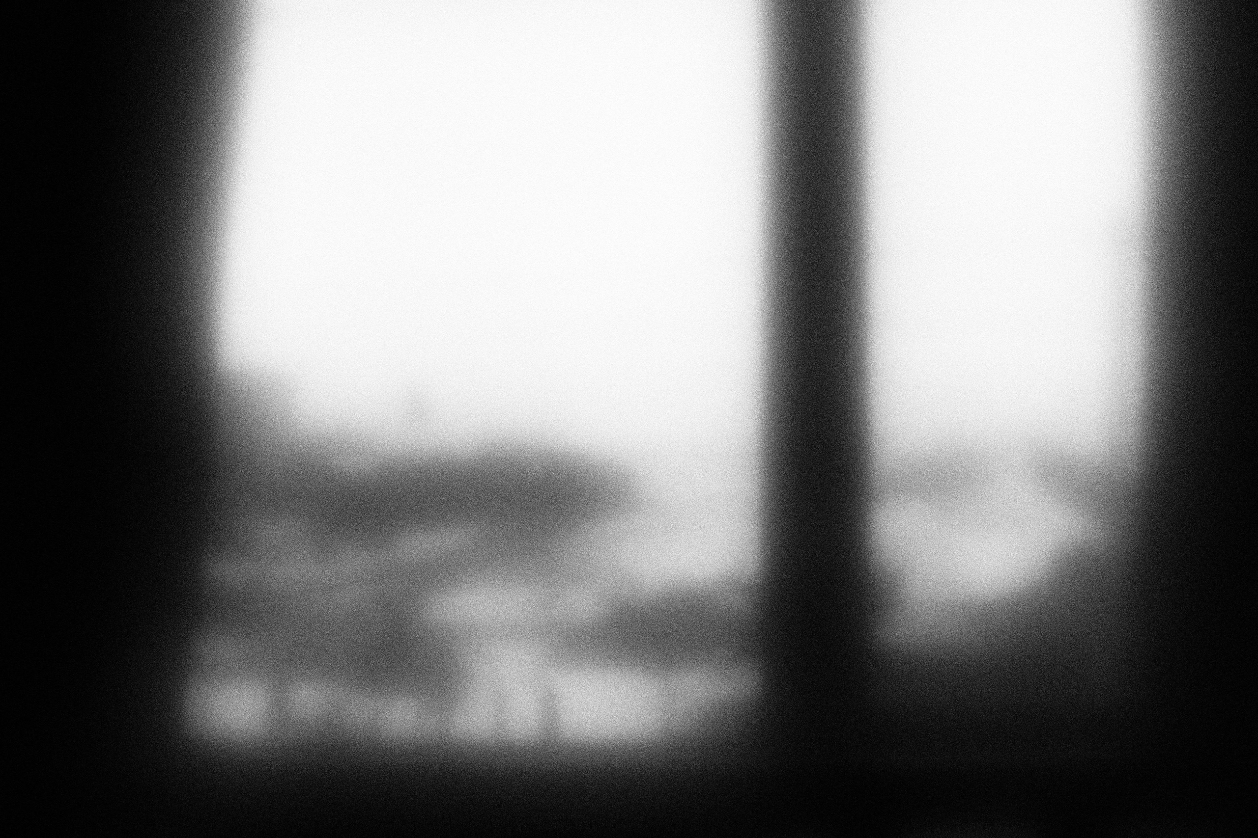 «Видеть. Чувствовать. Сохранять»