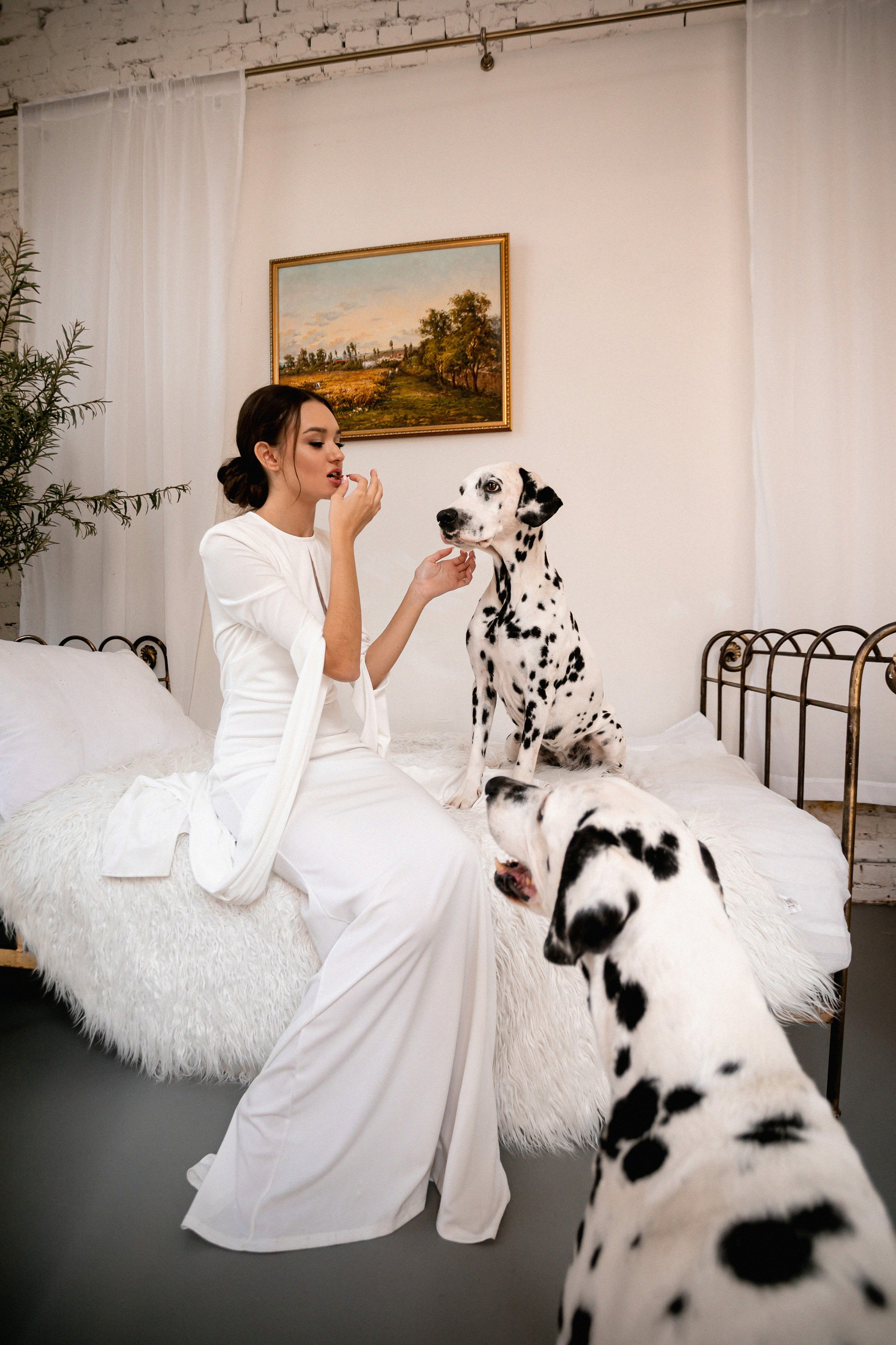 Ростислав и Виктория. Лада Канана Свадебный и семейный фотограф