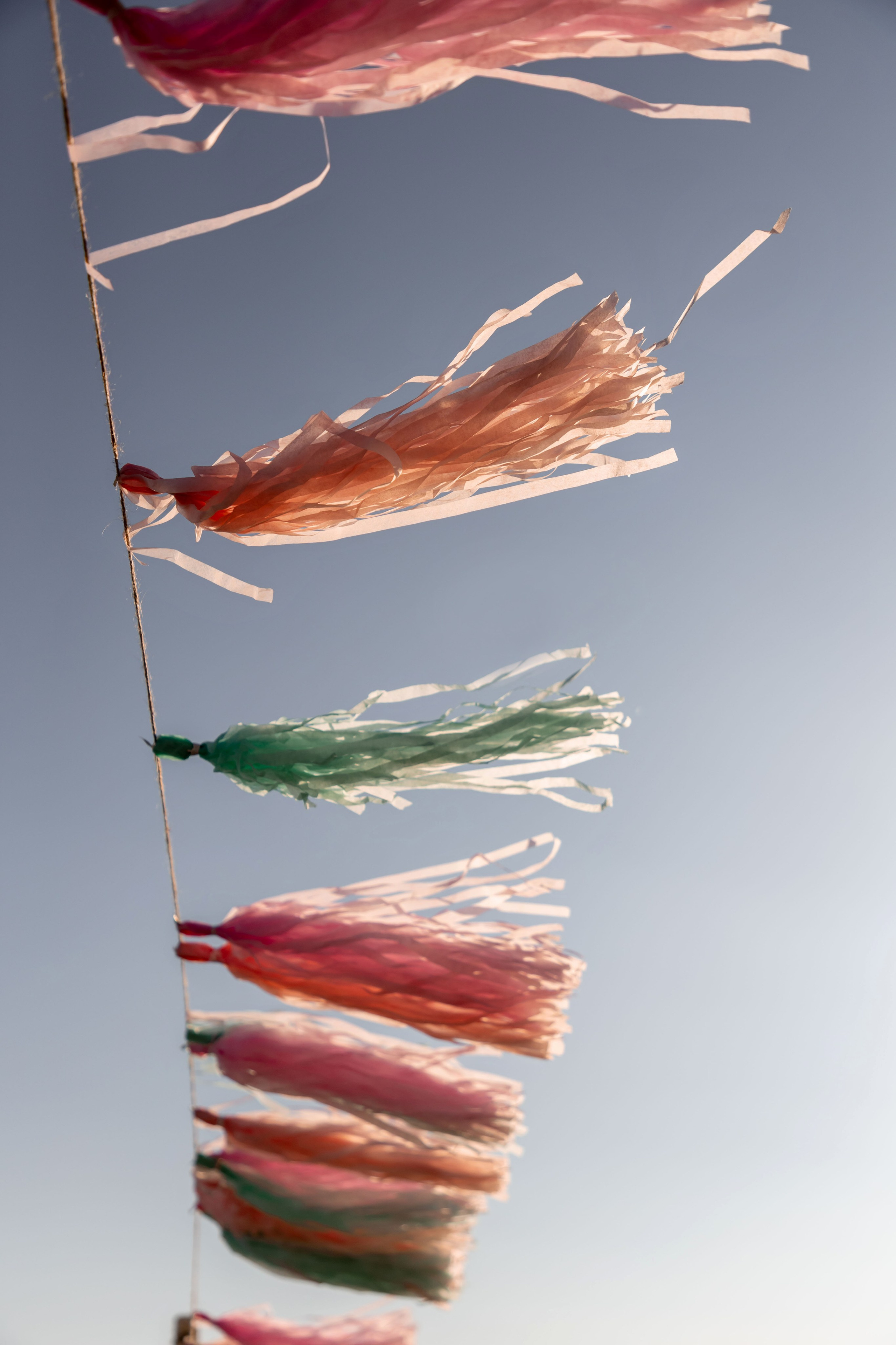 Максим и Полина. Лада Канана Свадебный и семейный фотограф