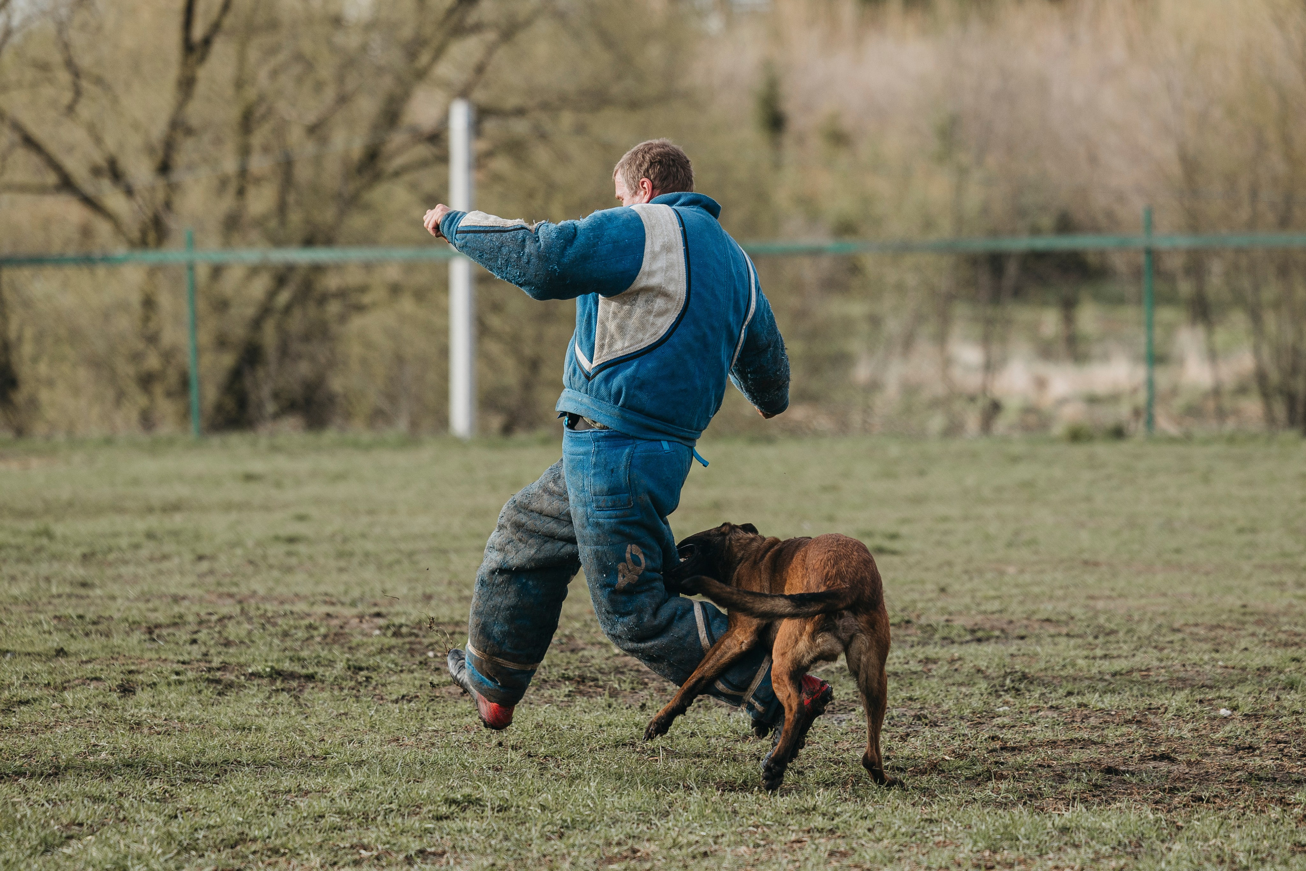 09.05.25 Вологда соревнования. Фотограф-анималист Анна Маринич