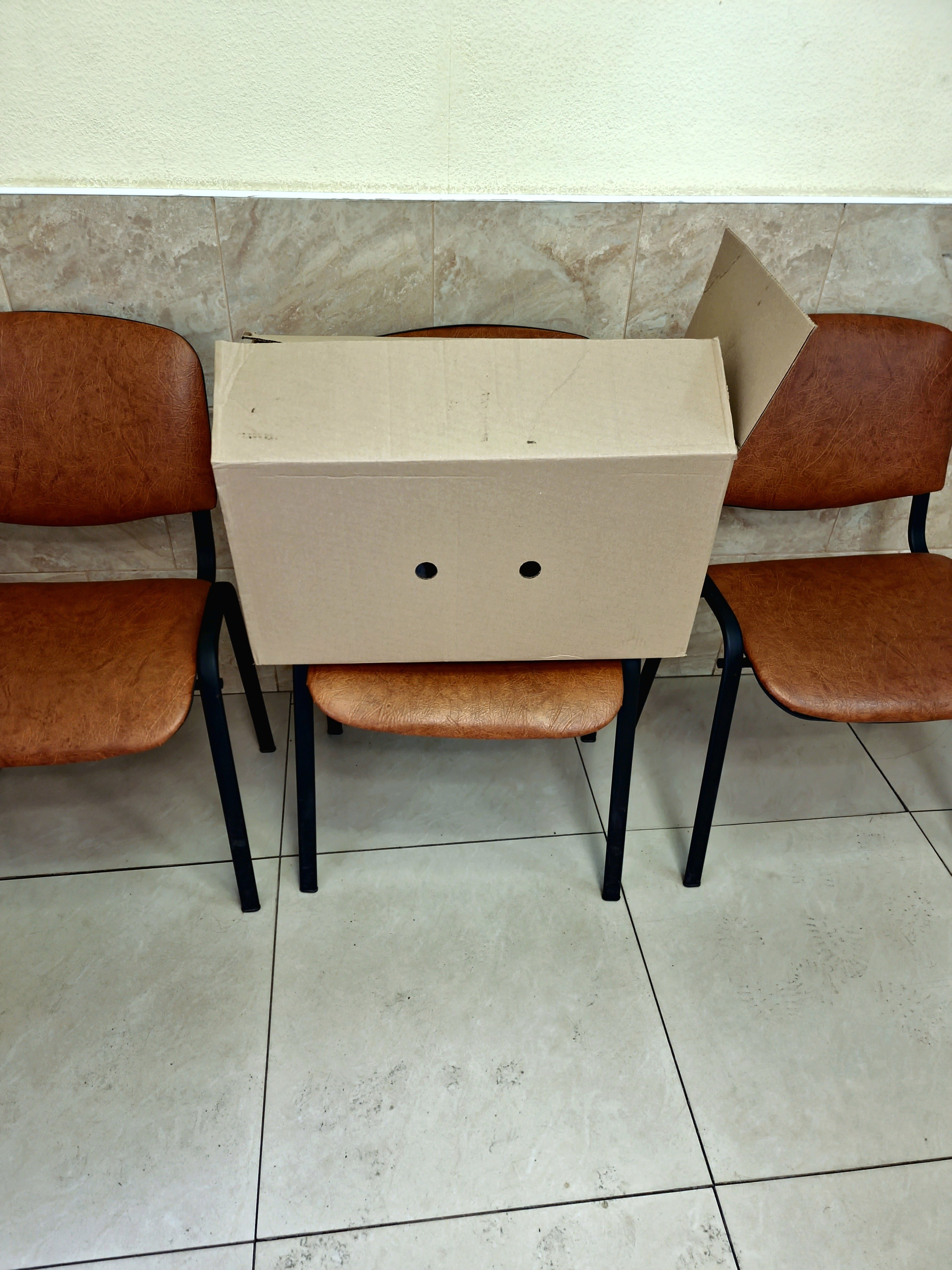 Август 2025. Den Mirov — Фотограф, Музыкант