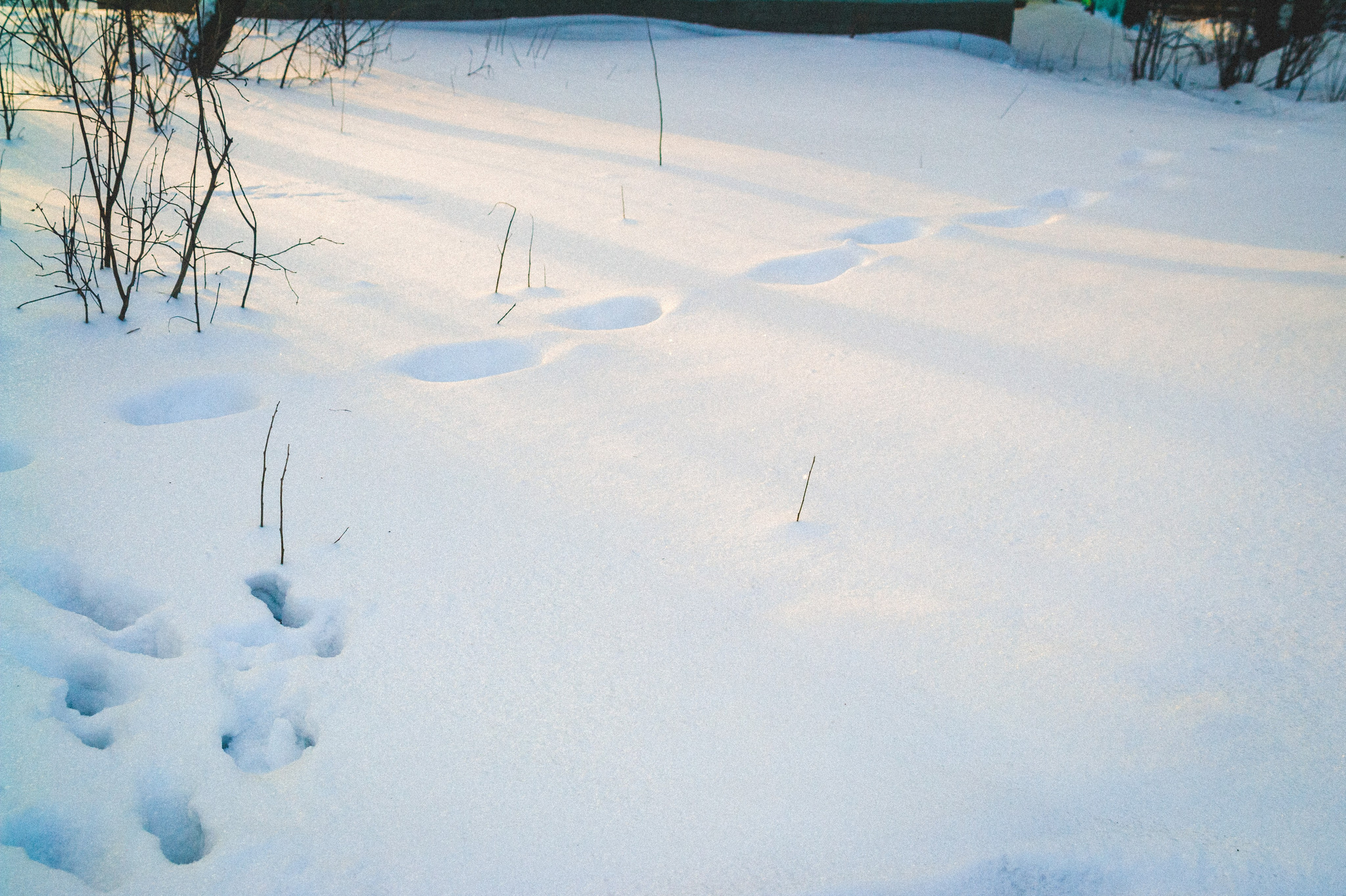 Солнечный Час. Den Mirov — Фотограф, Музыкант