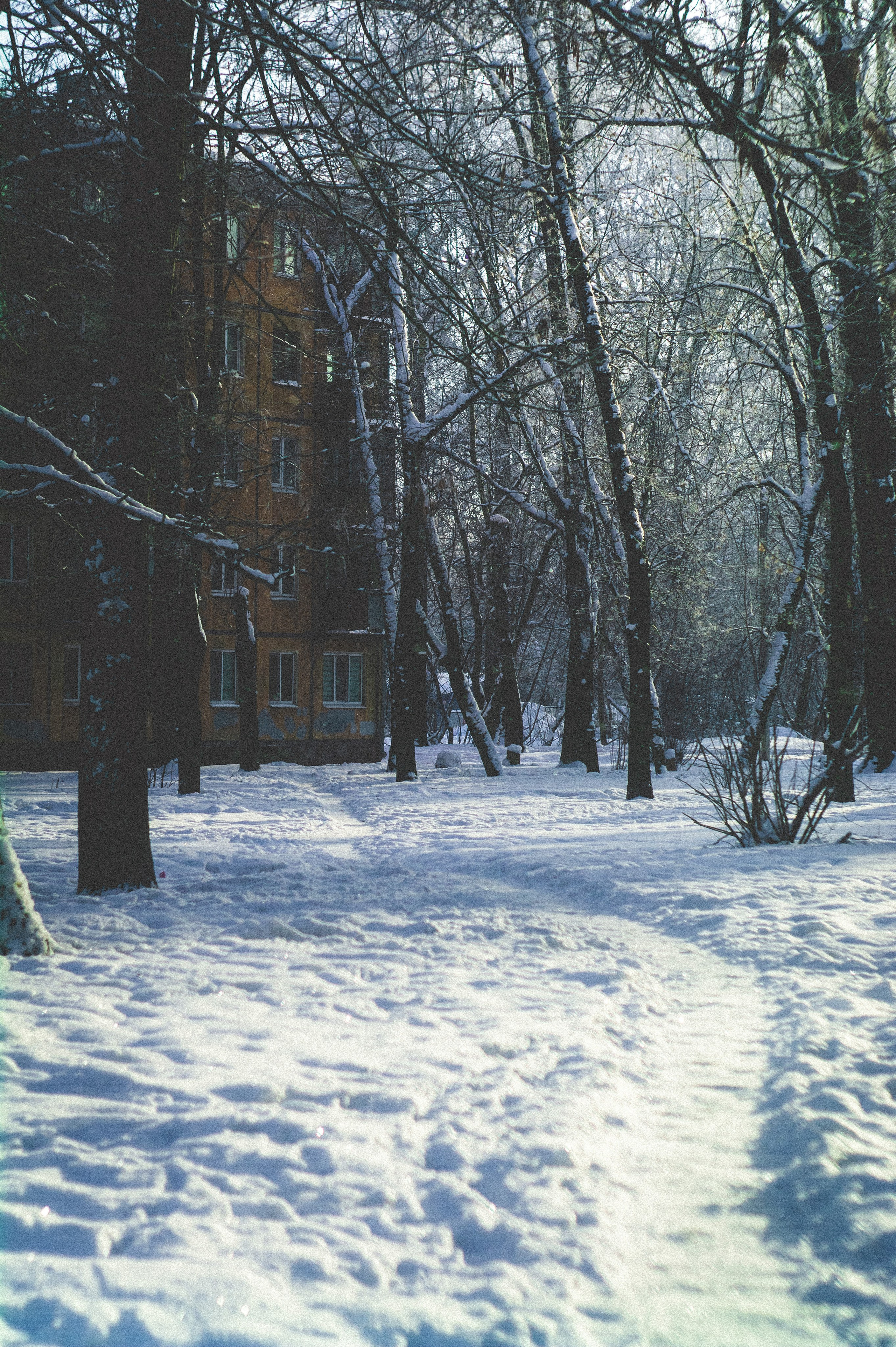 Мороз. Den Mirov — Фотограф, Музыкант