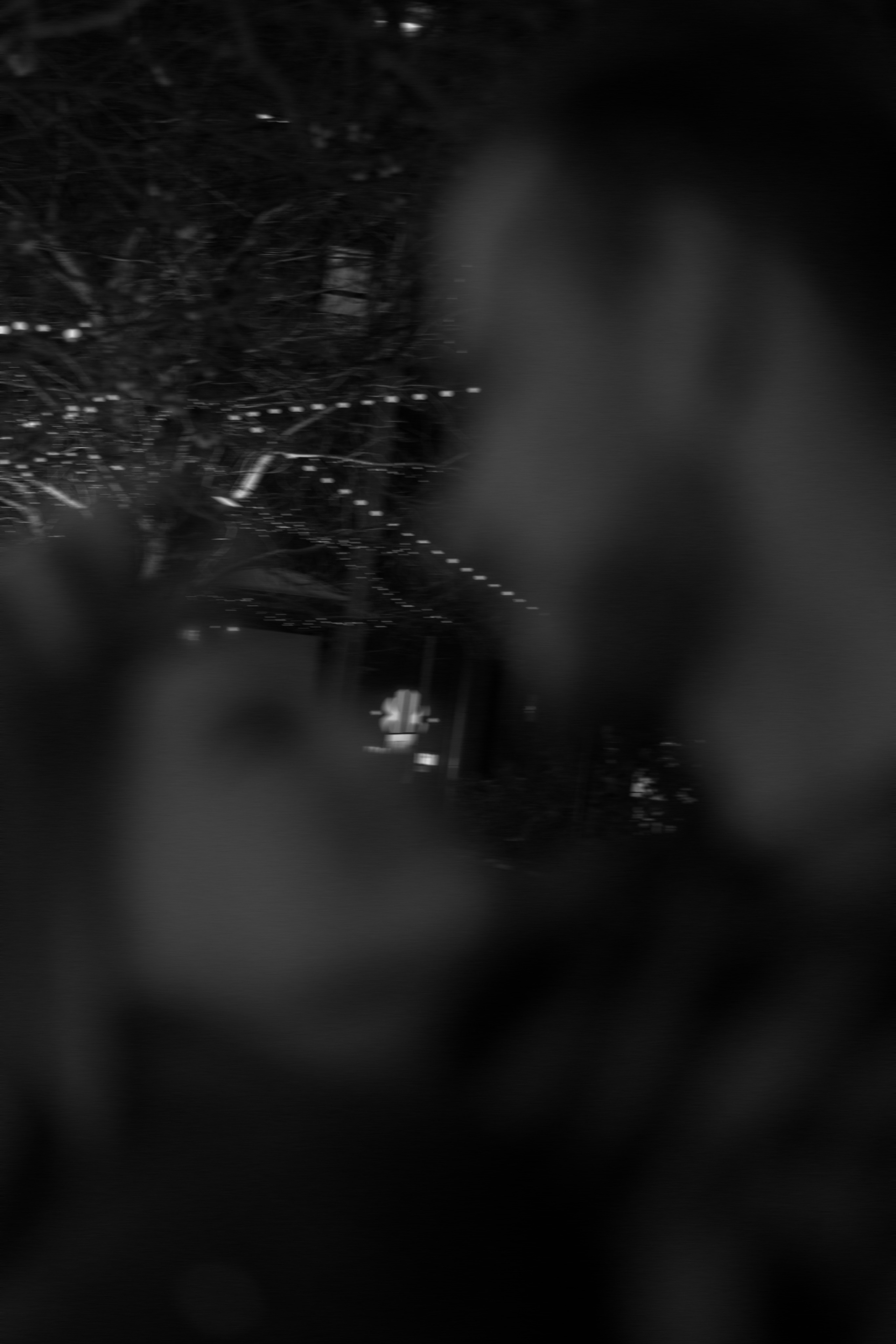 Лиза и Дима. Портретный и свадебный фотограф в Краснодаре