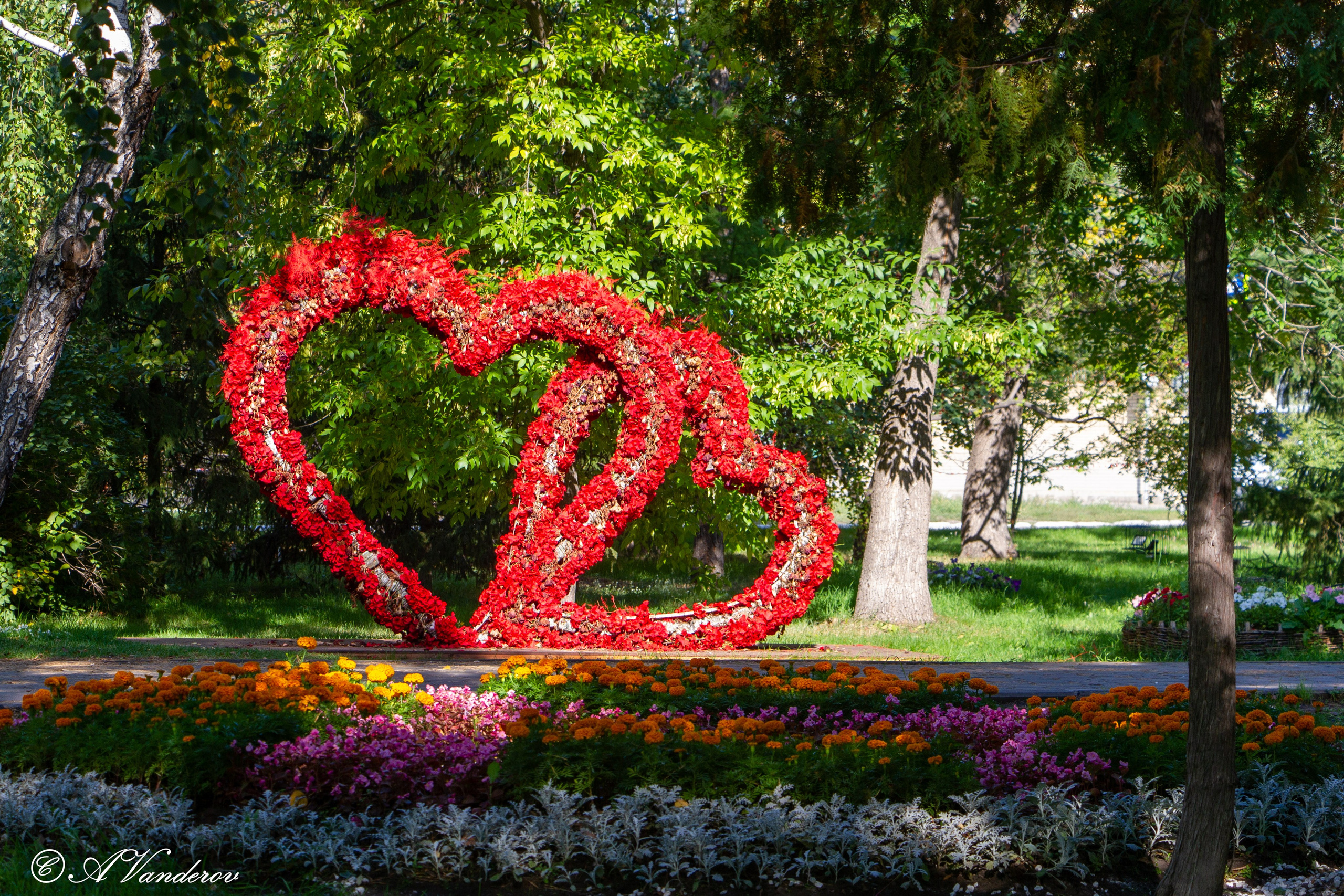 Омск 2023. Фотограф Омск | Александр Вандеров