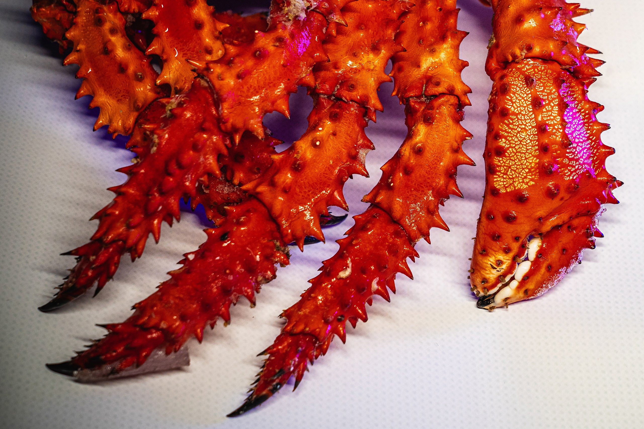 Food. Профессиональный фотограф в Волгодонске Алексей Рубашевский