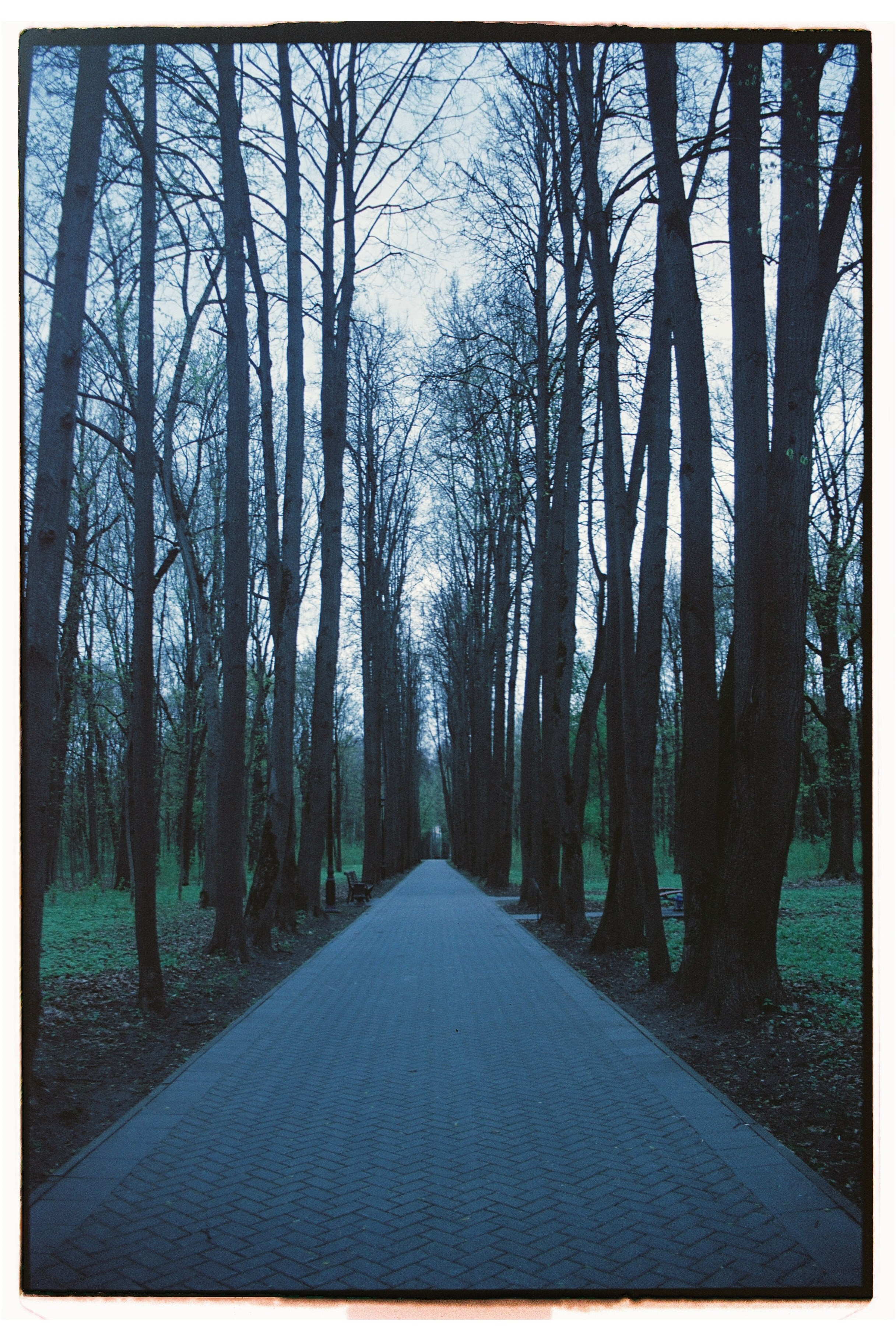 Стрит. Фотограф Соня с Земли