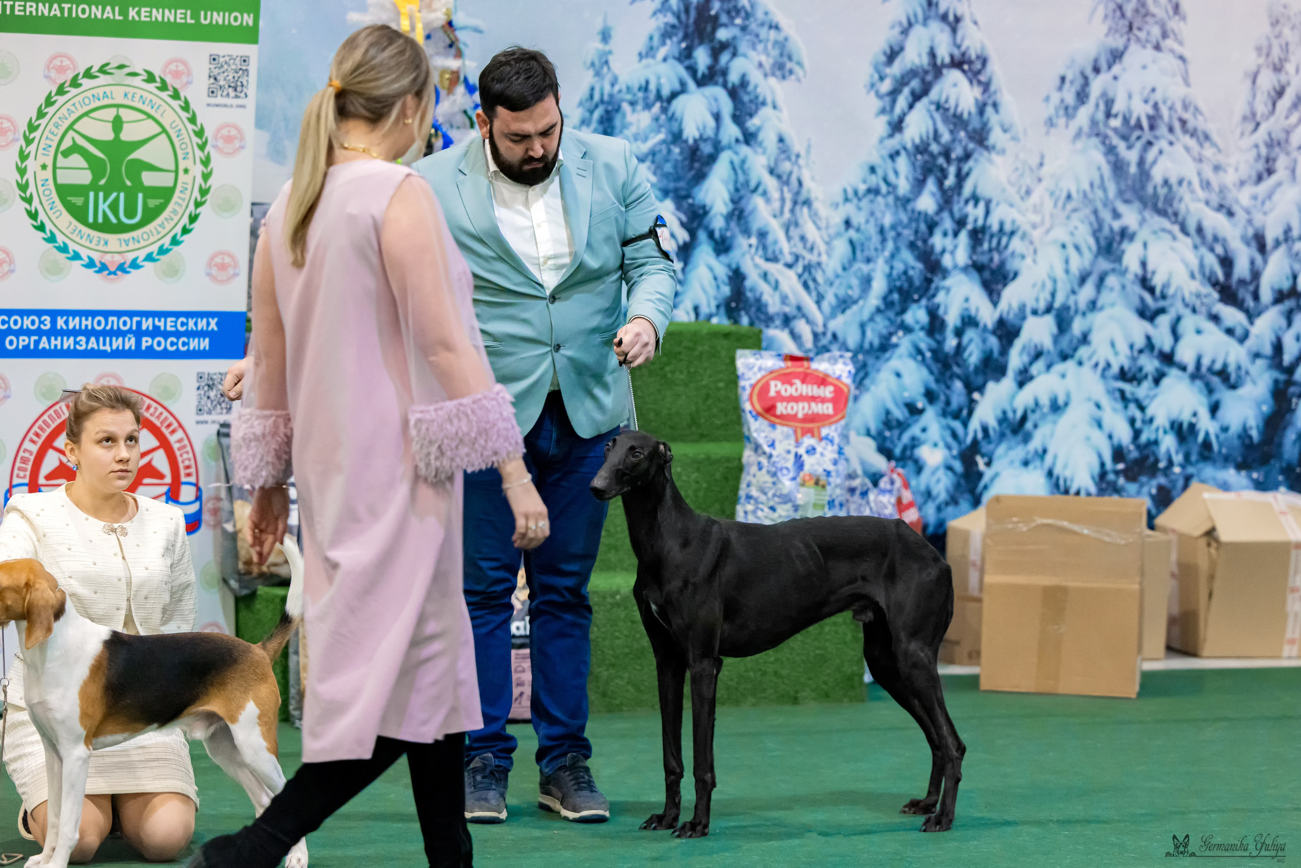 Крокус 3,9 и 10.12.2023. Фотограф-анималист Юлия Германика