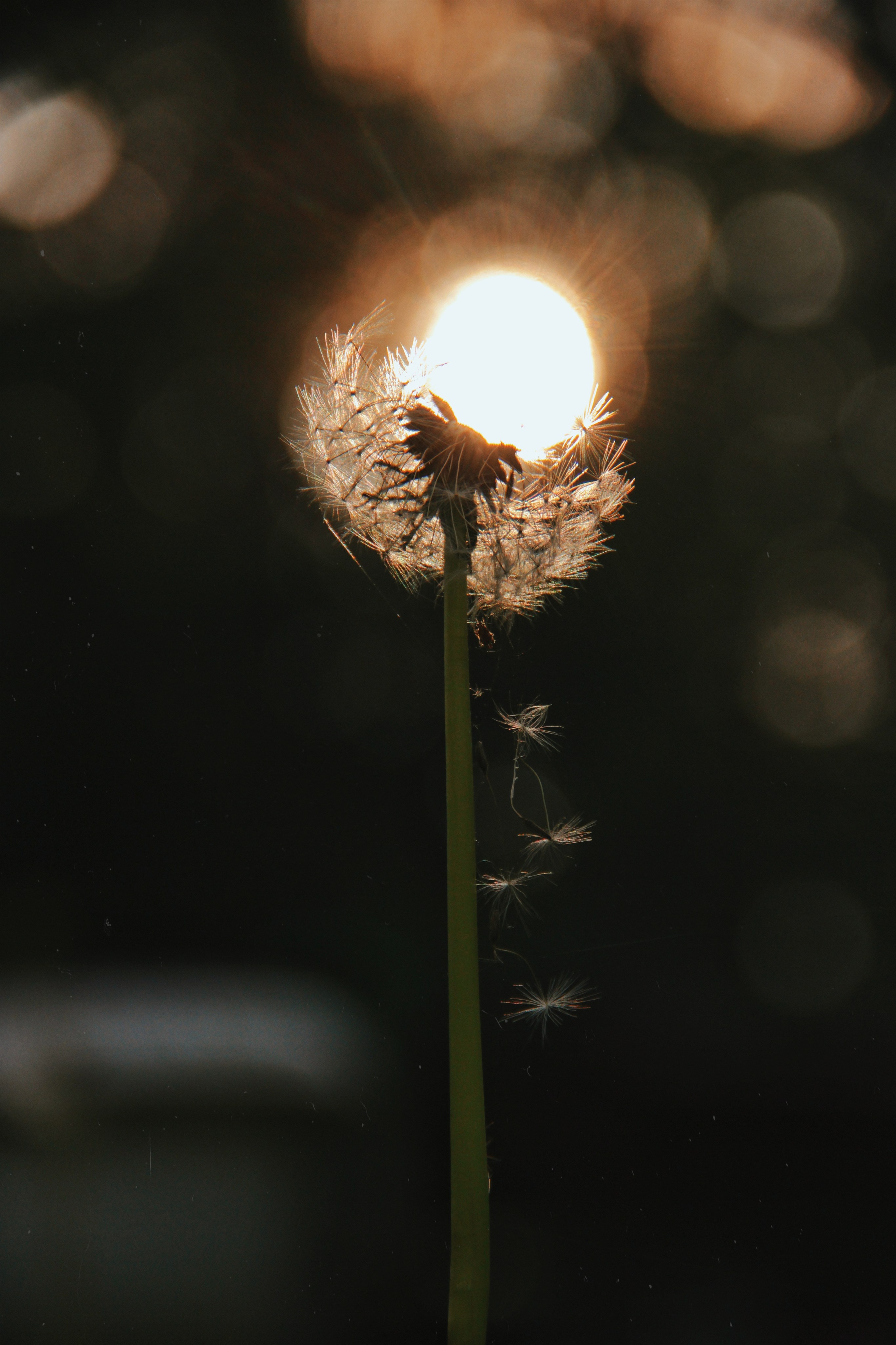 Фотограф и видеограф в Санкт-Петербурге