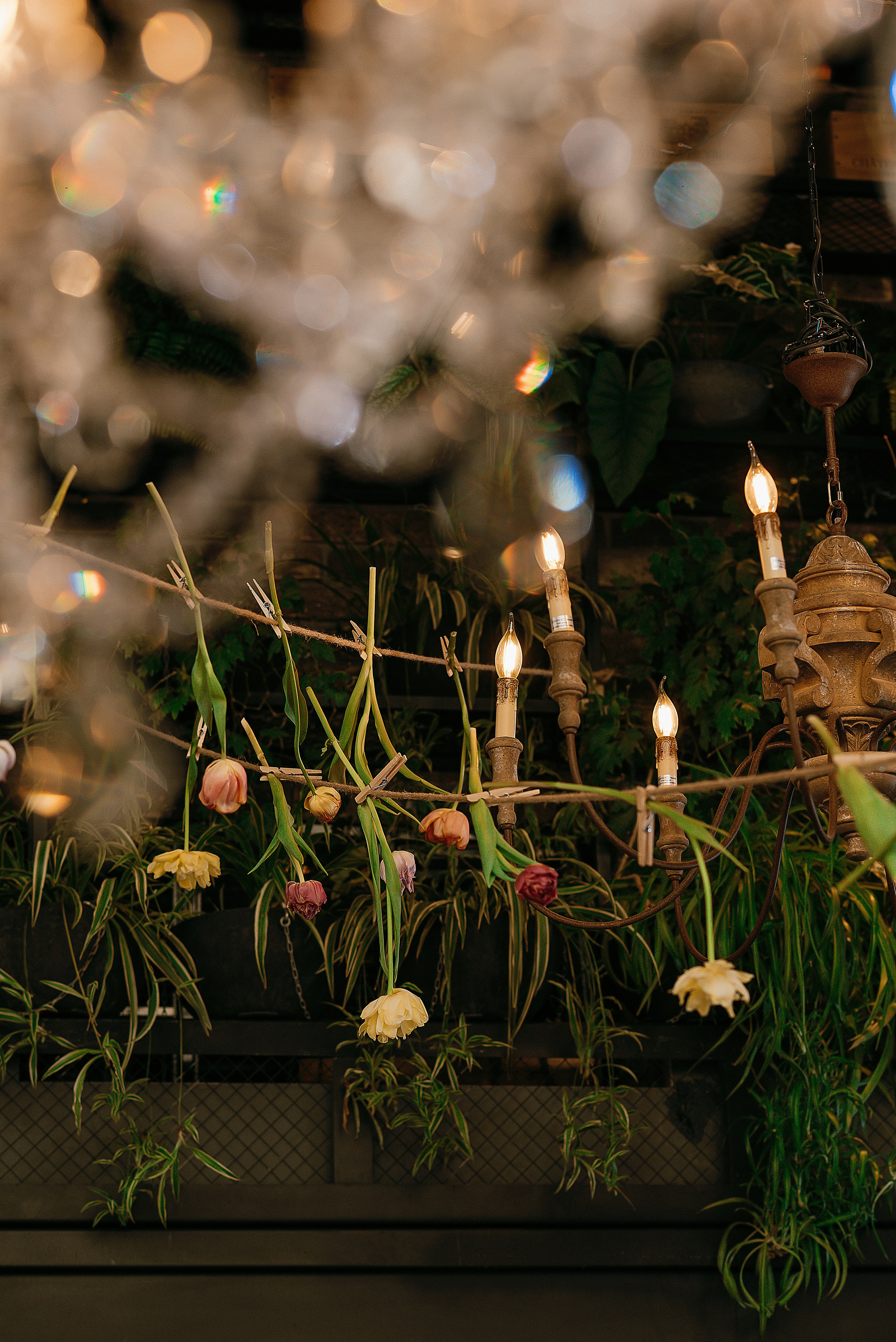 Лука и София. Свадебный и семейный фотограф в Ростове-на-Дону Алина Астахова