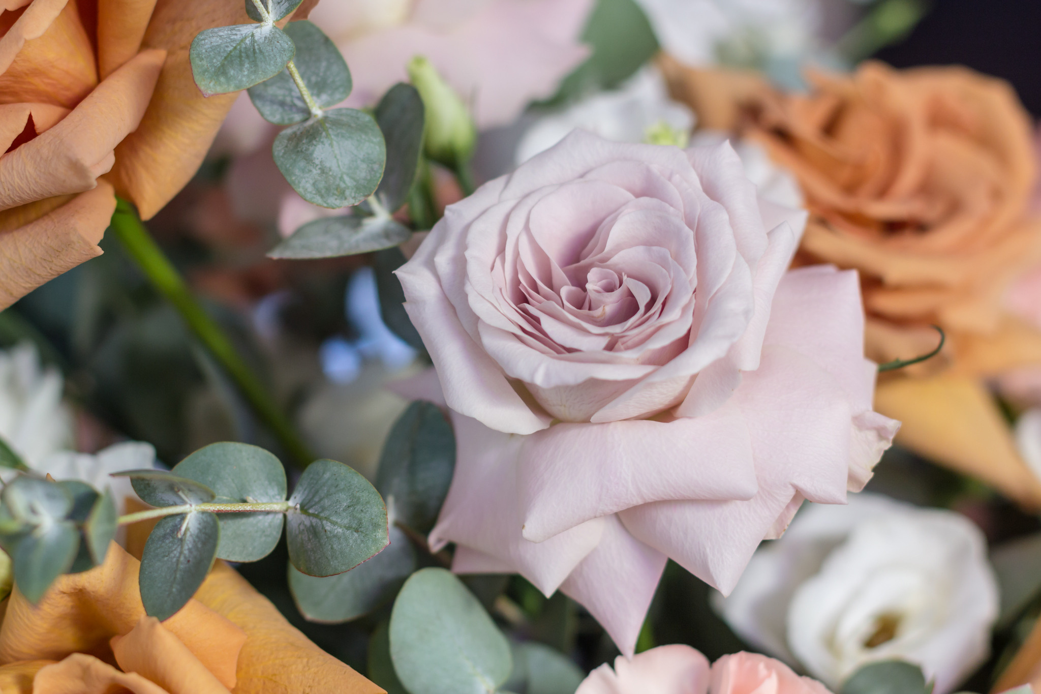 Роза Мента, флорист Маргарита Гладкова