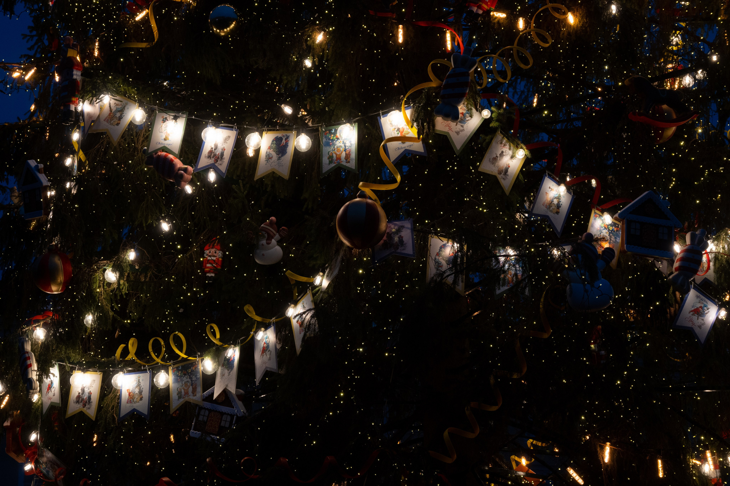 Зима. Фотограф и видеограф в Москве Анна Матюхина