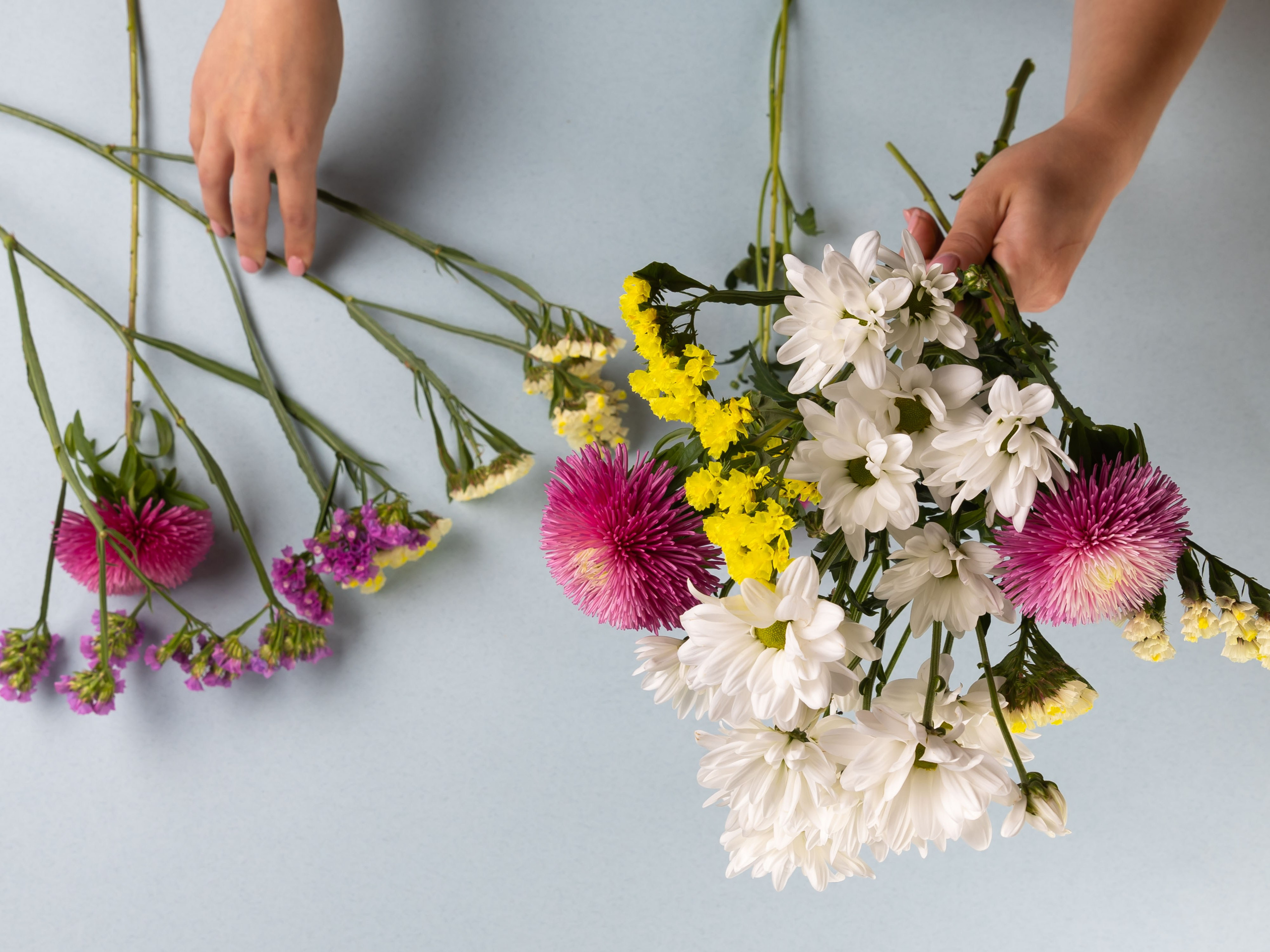 01.08.2025 Фотосессия Цветополис. ФОТОГРАФ ВИНОГРАДОВА ДАРЬЯ