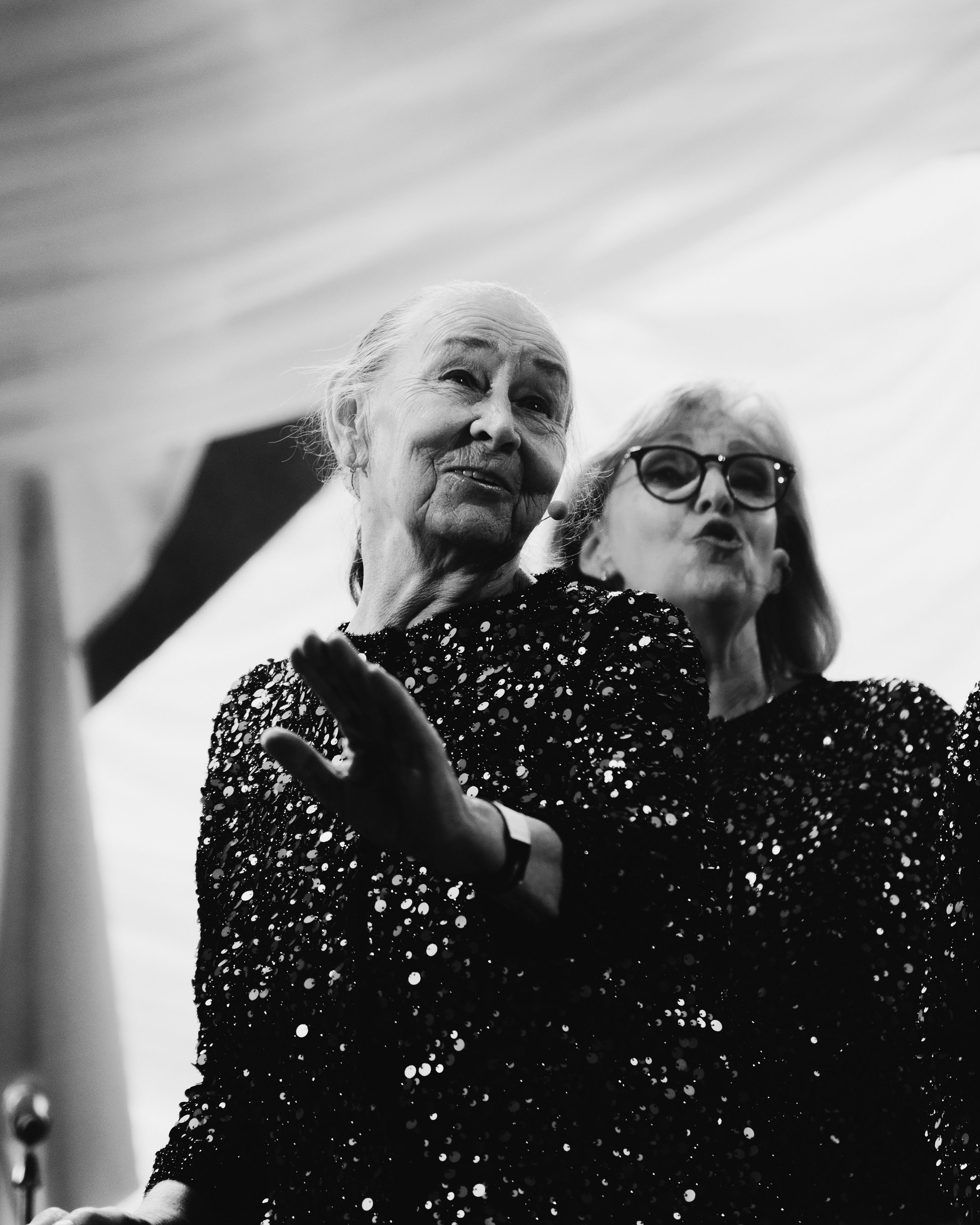 Хаски ’25 Свадьба. RUSLAN ROZANOV