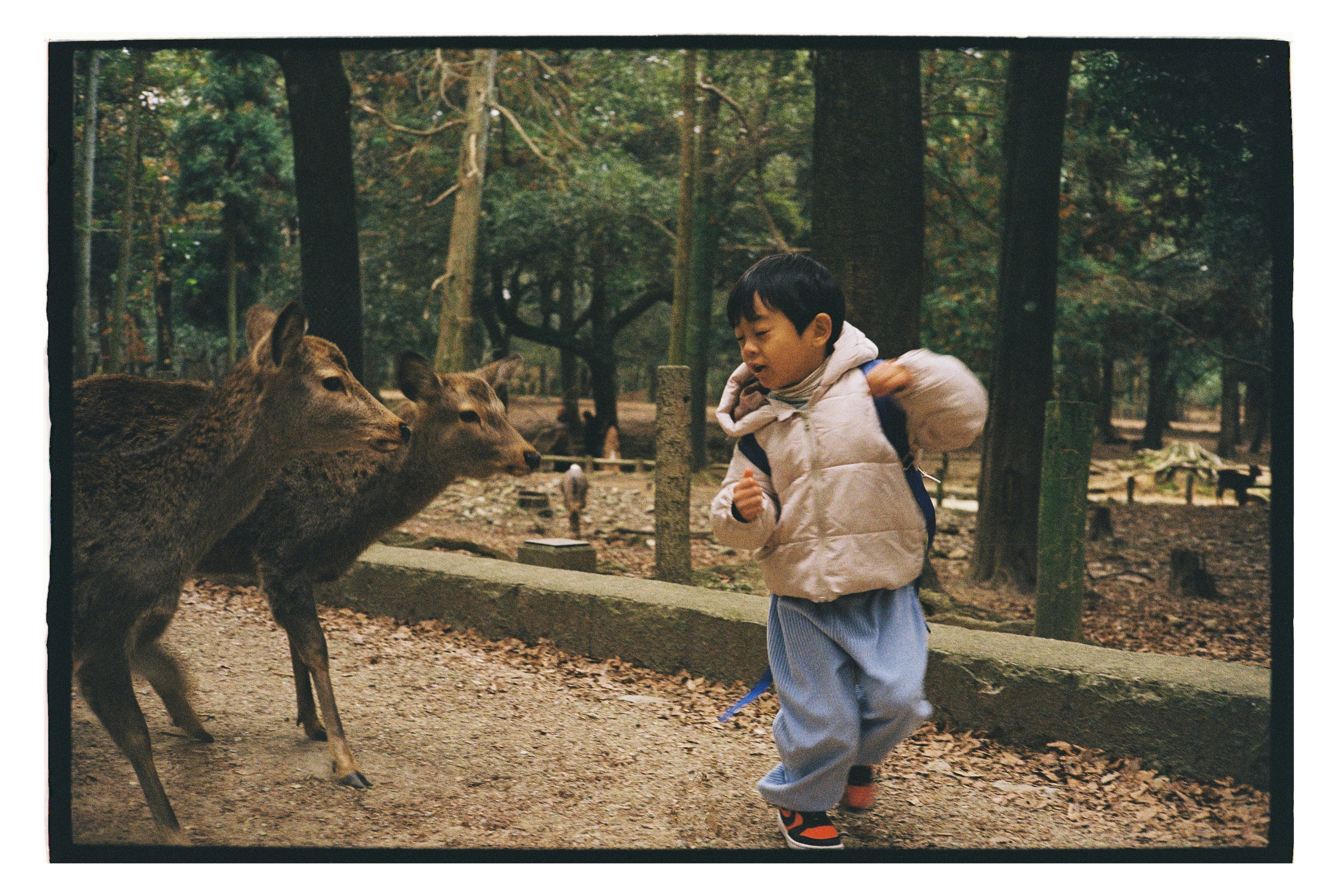 Japan. @tomrus: Рустам Шагиморданов — фотограф