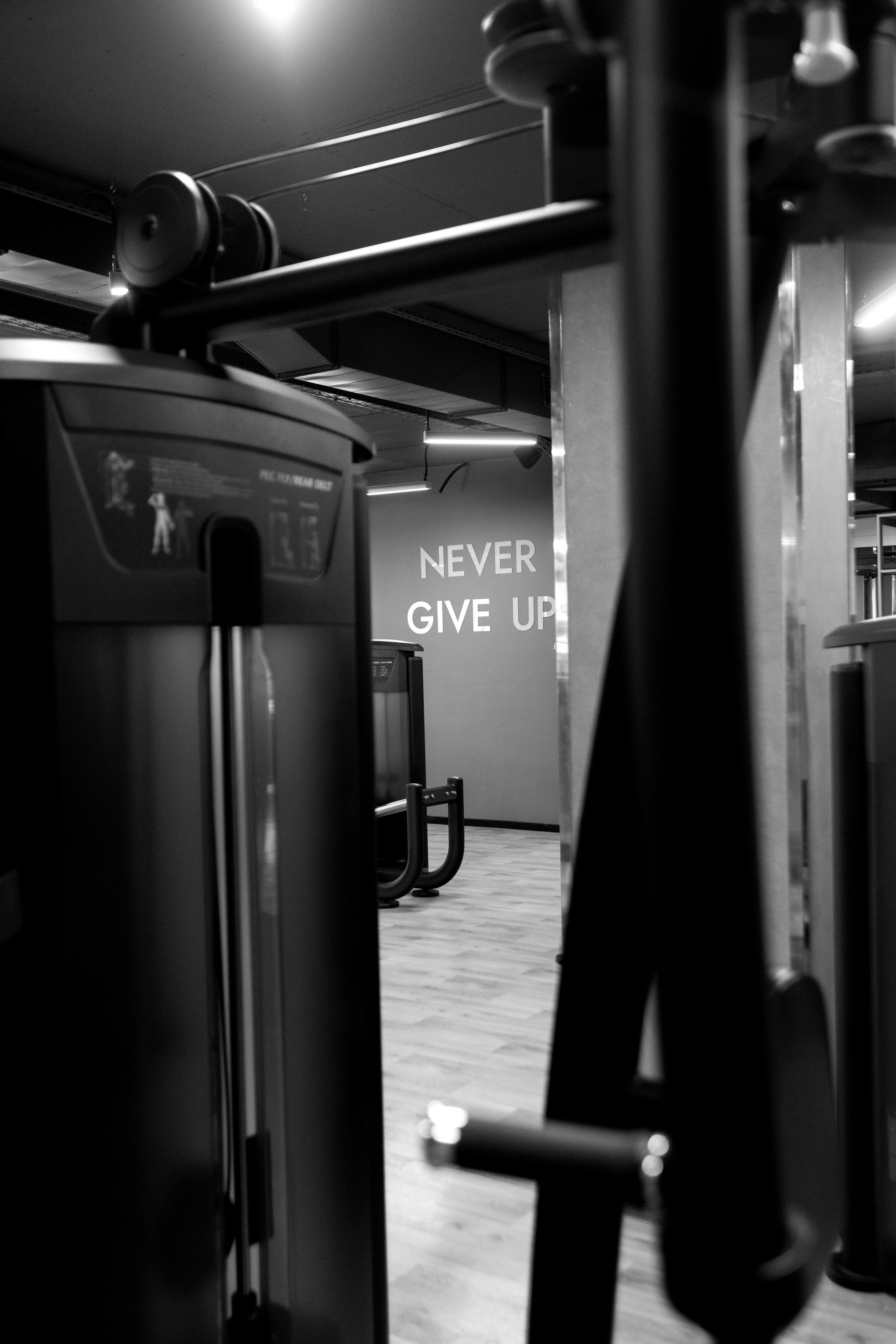 SQ Фитнес. Фотограф Липецк. Фотограф в Липецке Татьяна Минаева. Портретный фотограф Липецк. Свадебный фотограф Липецк. Бизнес фотограф Липецк