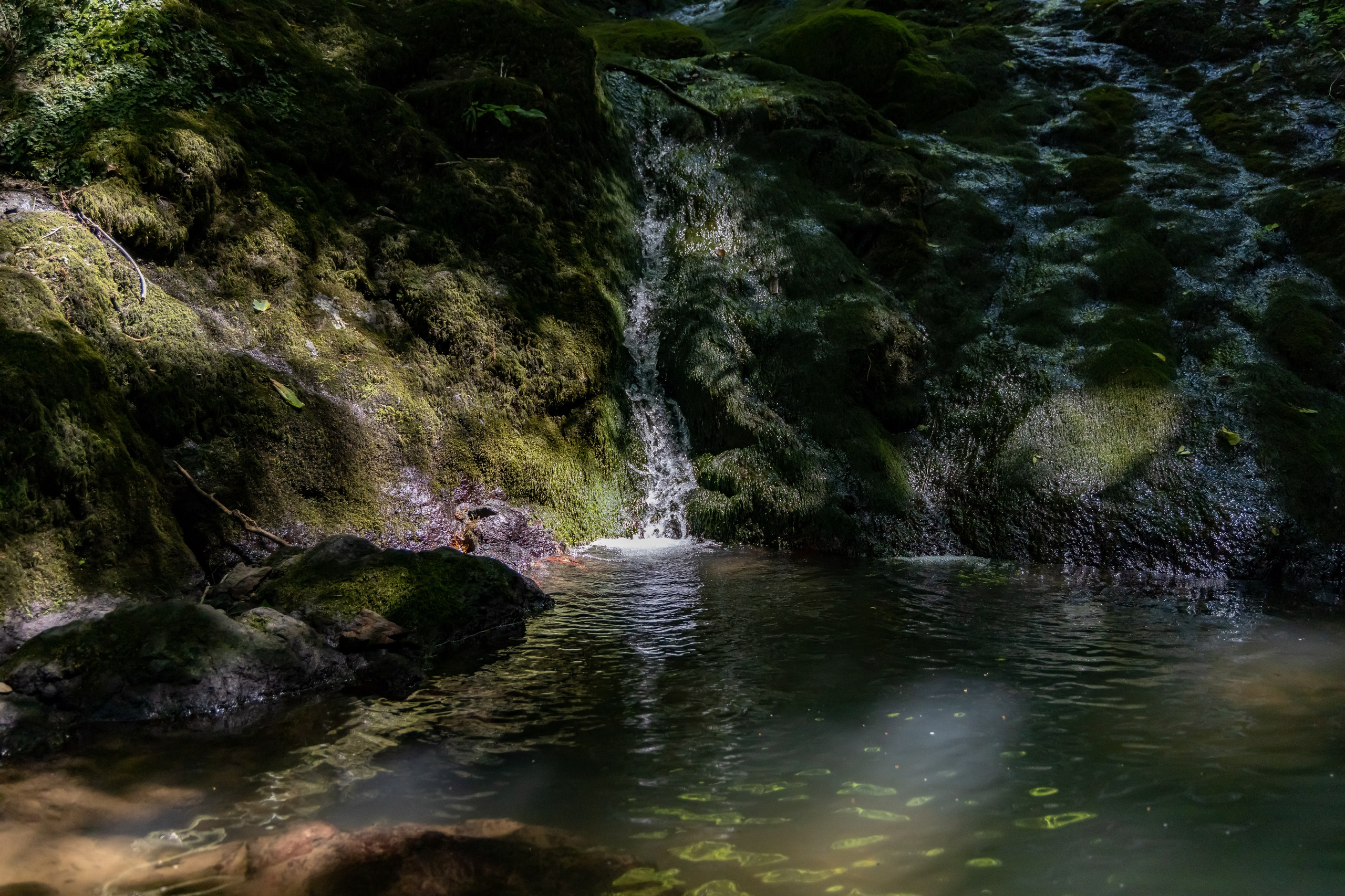 Сочи. Солох Аул. Репортажный, семейный и студийный фотограф в Москве Демин Алексей
