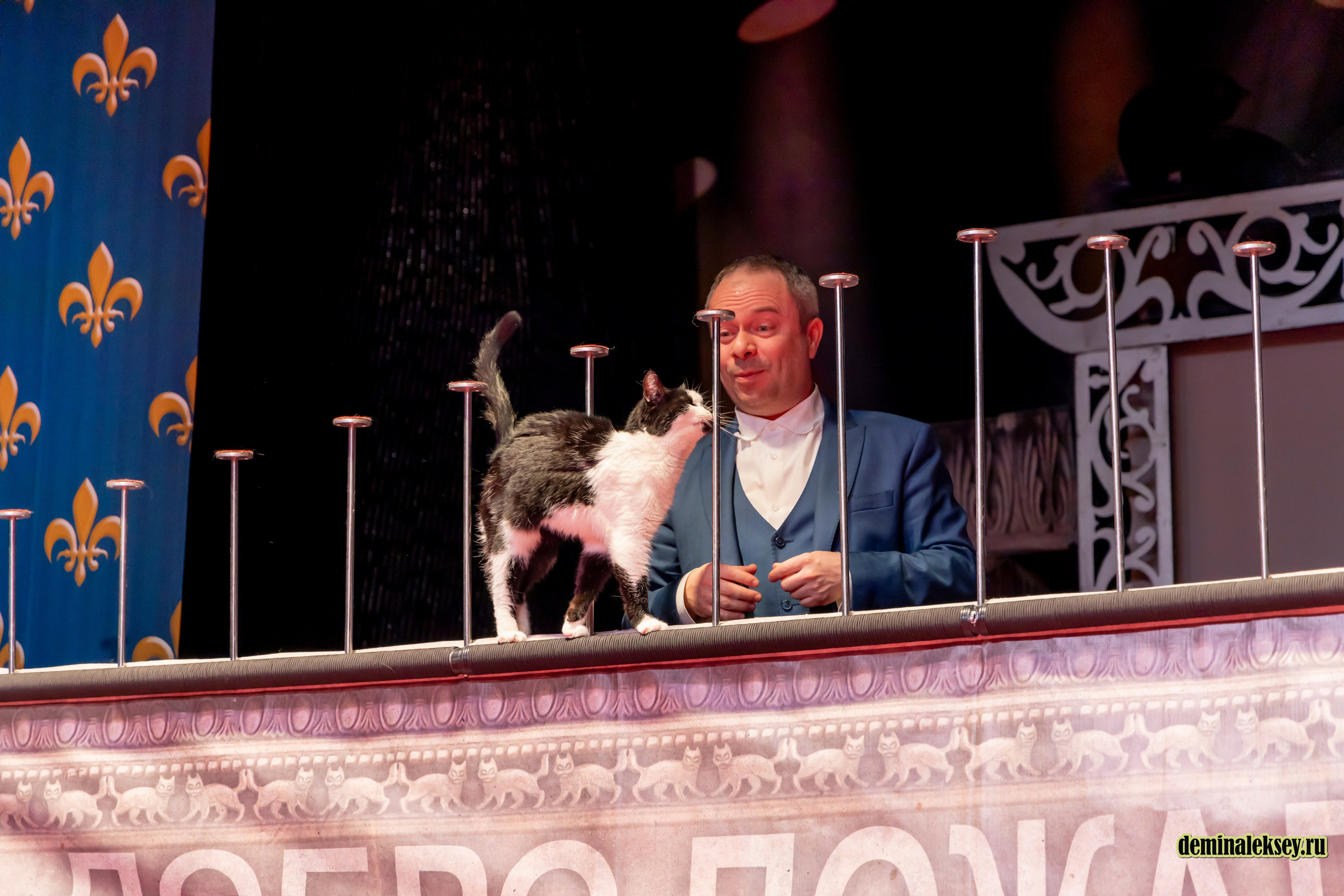 Театр кошек Куклачева 26 февраля 2025. Репортажный, семейный и студийный фотограф в Москве Демин Алексей