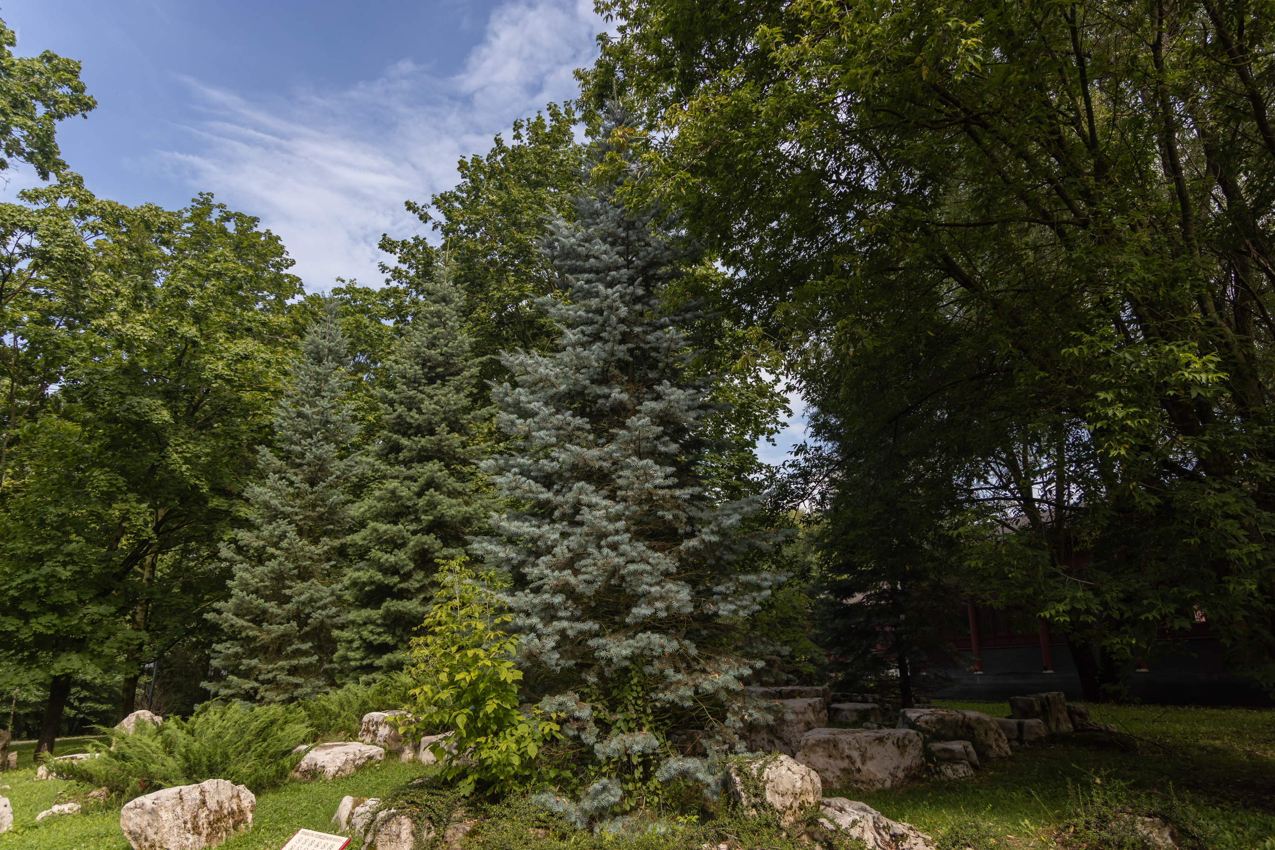 Парк хуамин в Москве. Репортажный, семейный и студийный фотограф в Москве Демин Алексей