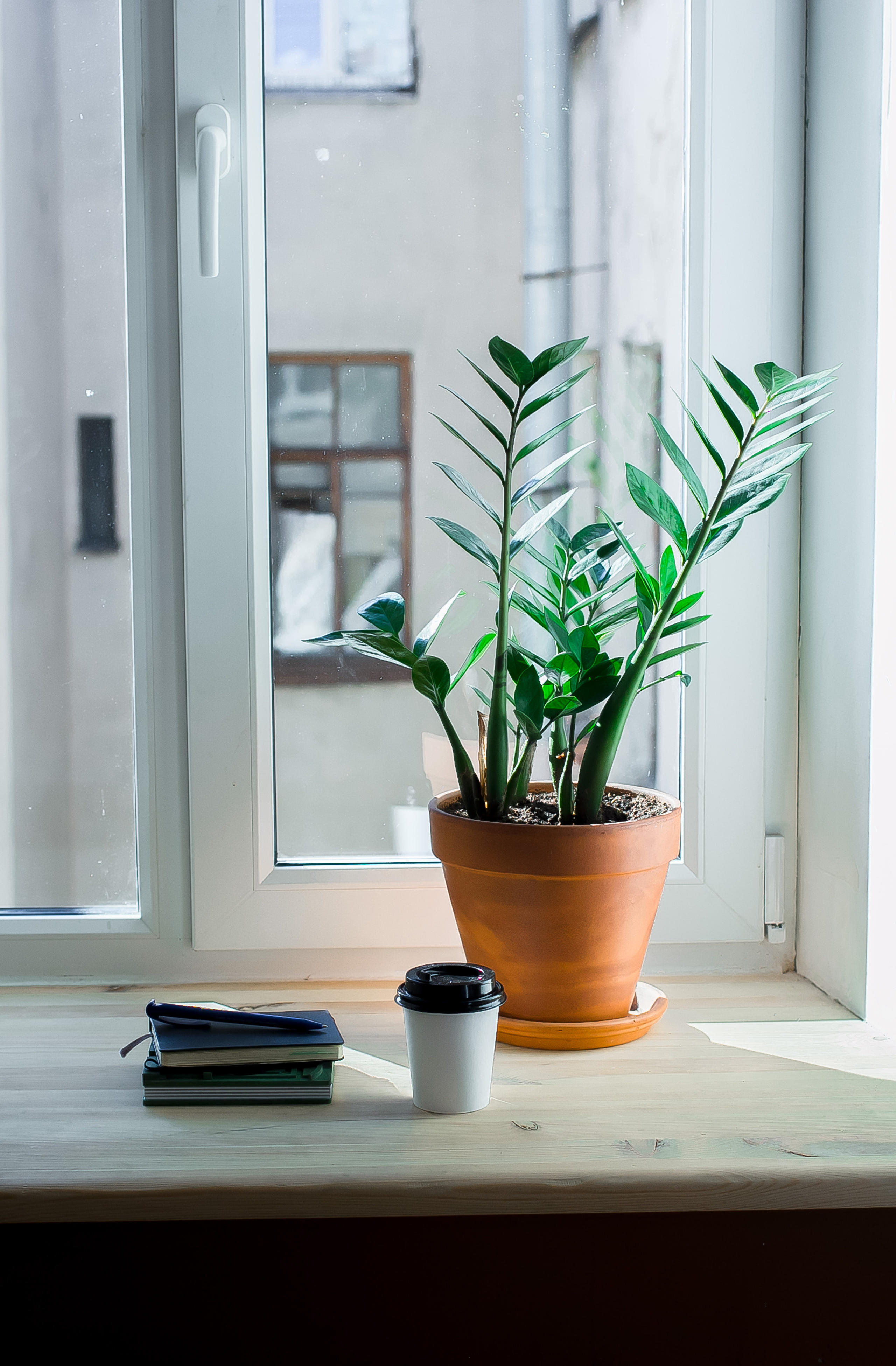 Медиа Лена @media.lena. Портретный фотограф в Москве Алёна Эйфория