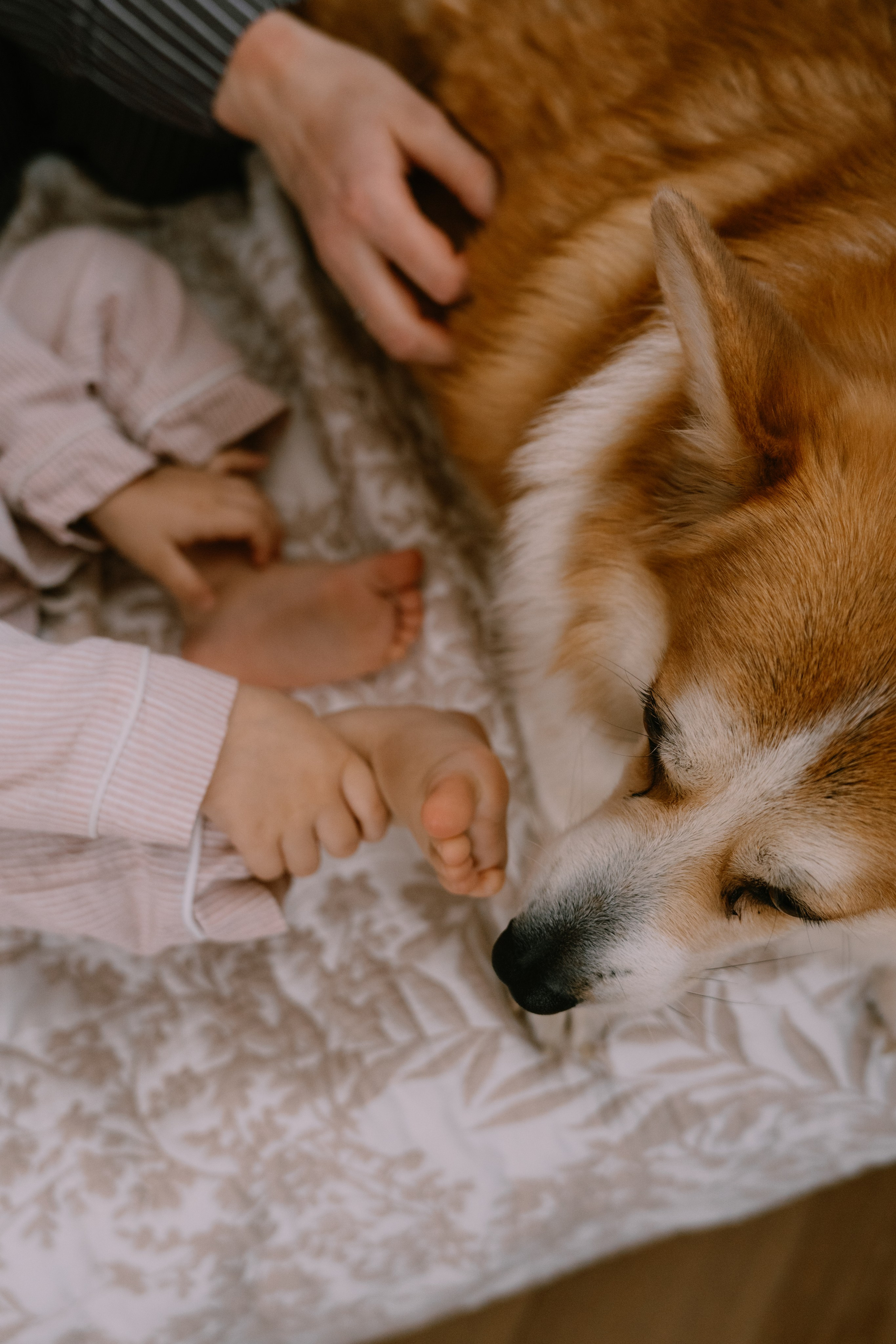 Пакет «Бесконечность». Мама+Малыш домашняя серия. Alenasokolowa.ru