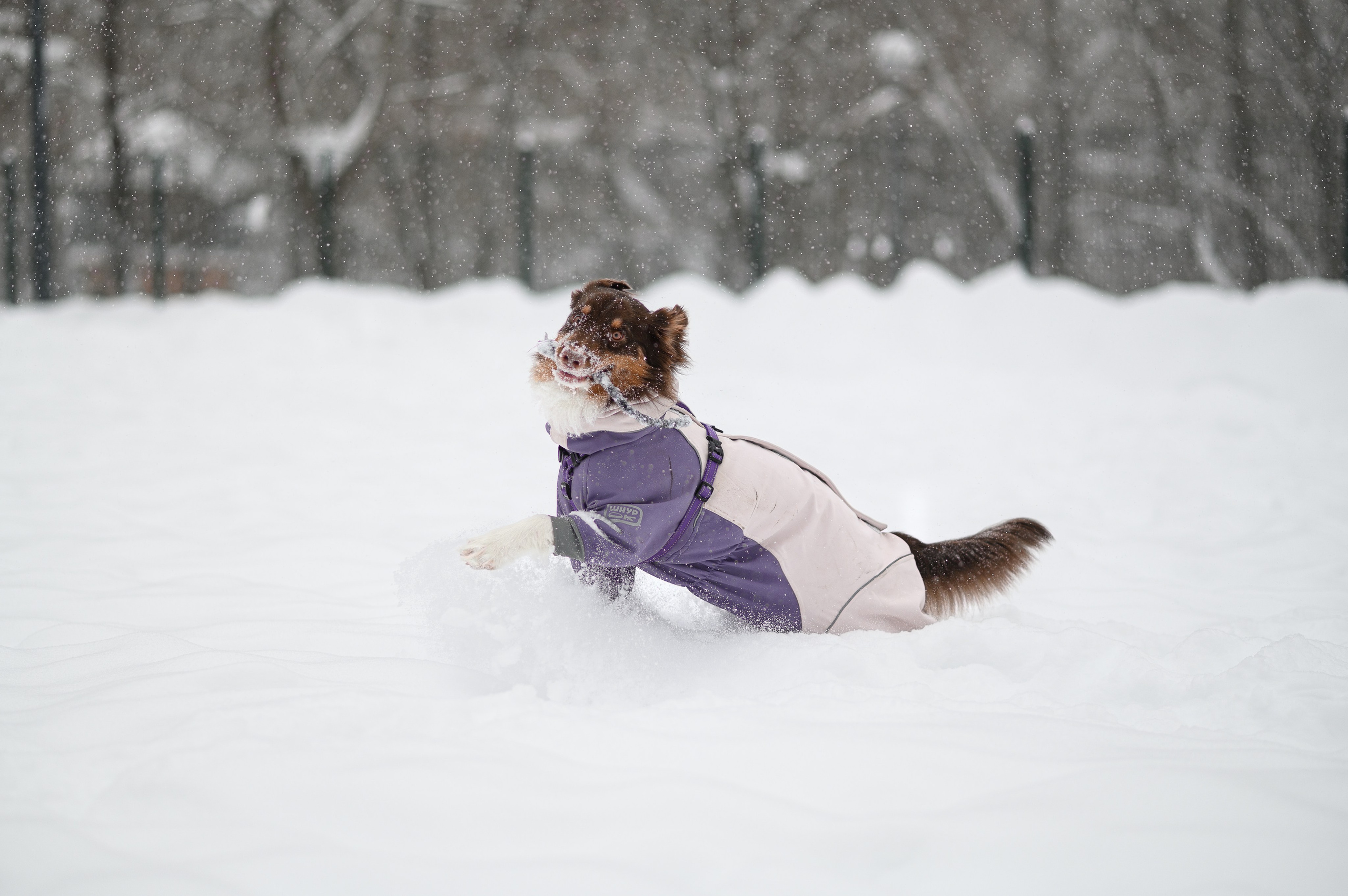 Фотограф в Москве Полина Старцева