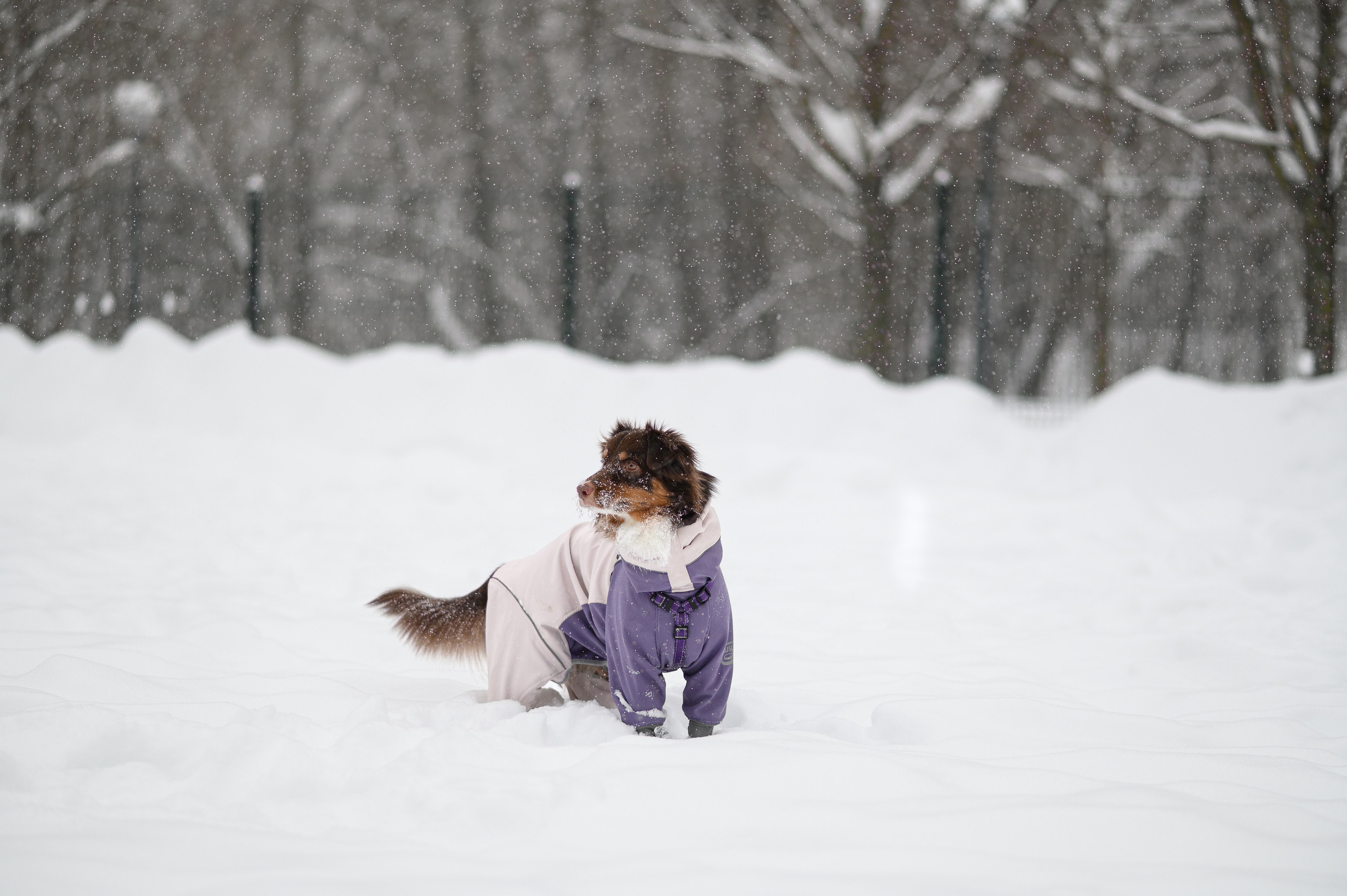 Акцент на живом. Фотограф в Москве Полина Старцева