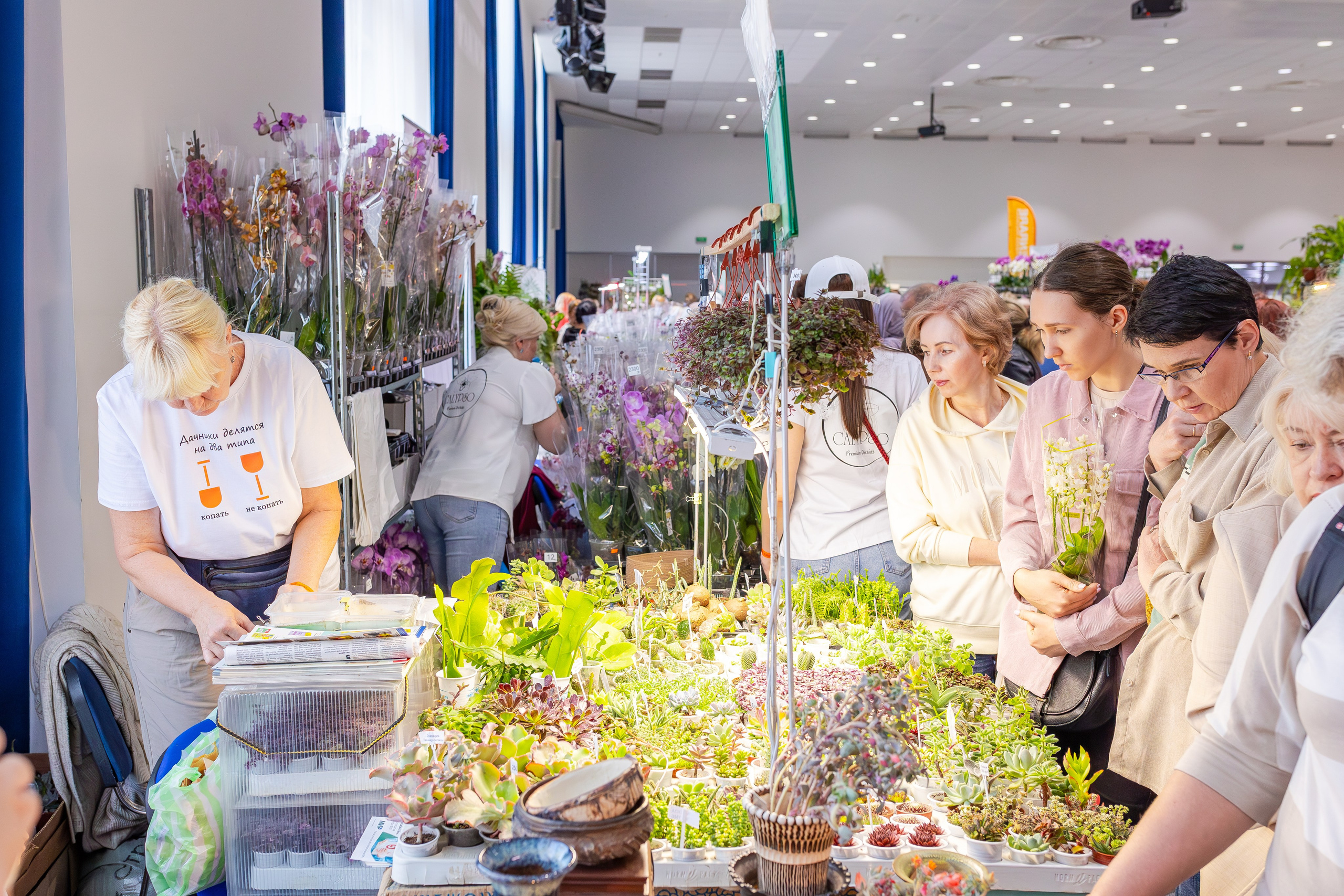 Орхидиум сентябрь 2025. Александра Куликова фотограф, Москва