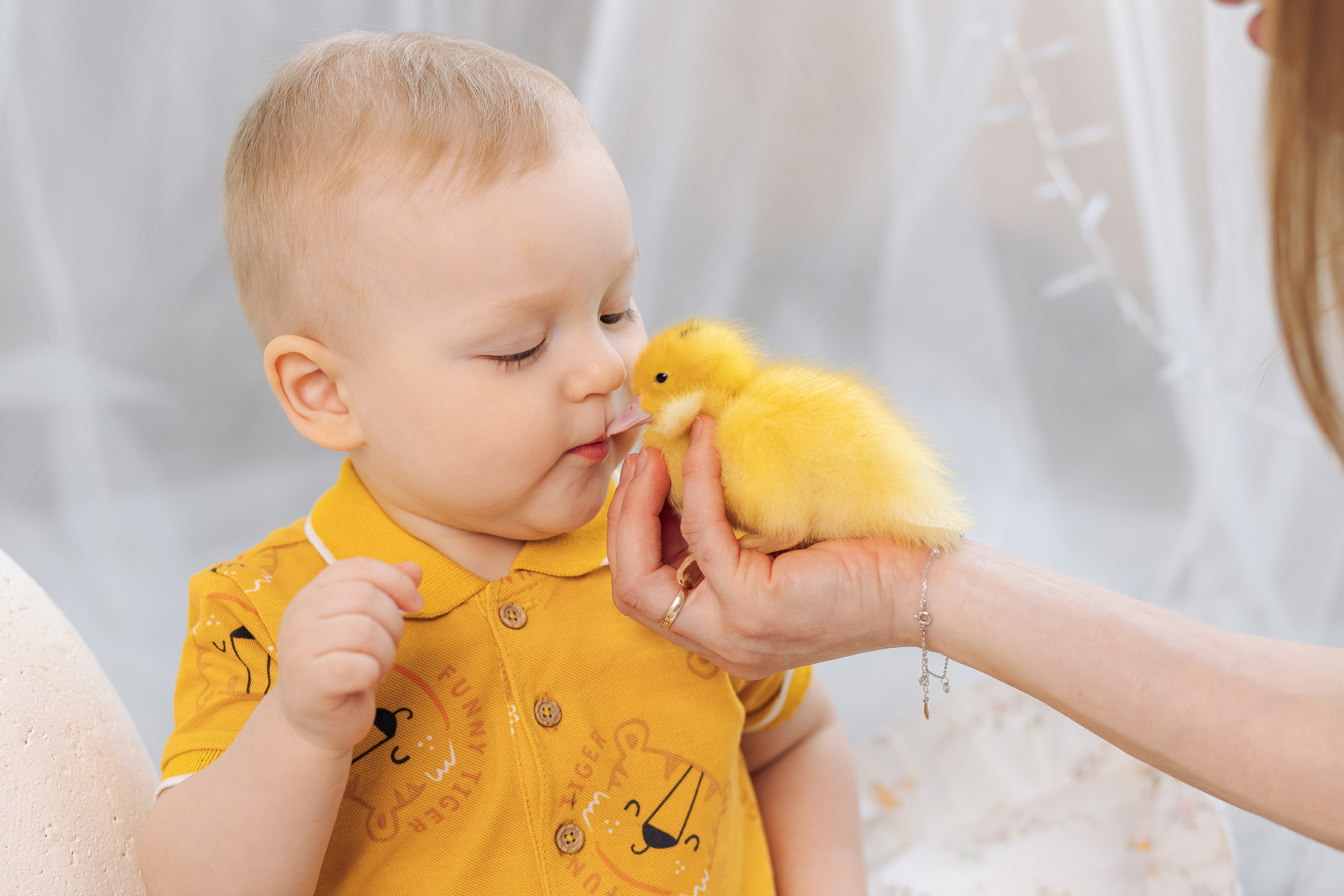Пасхальная фотосессия с утятами спб. Фотограф в Санкт-Петербурге, Анна Скворцова