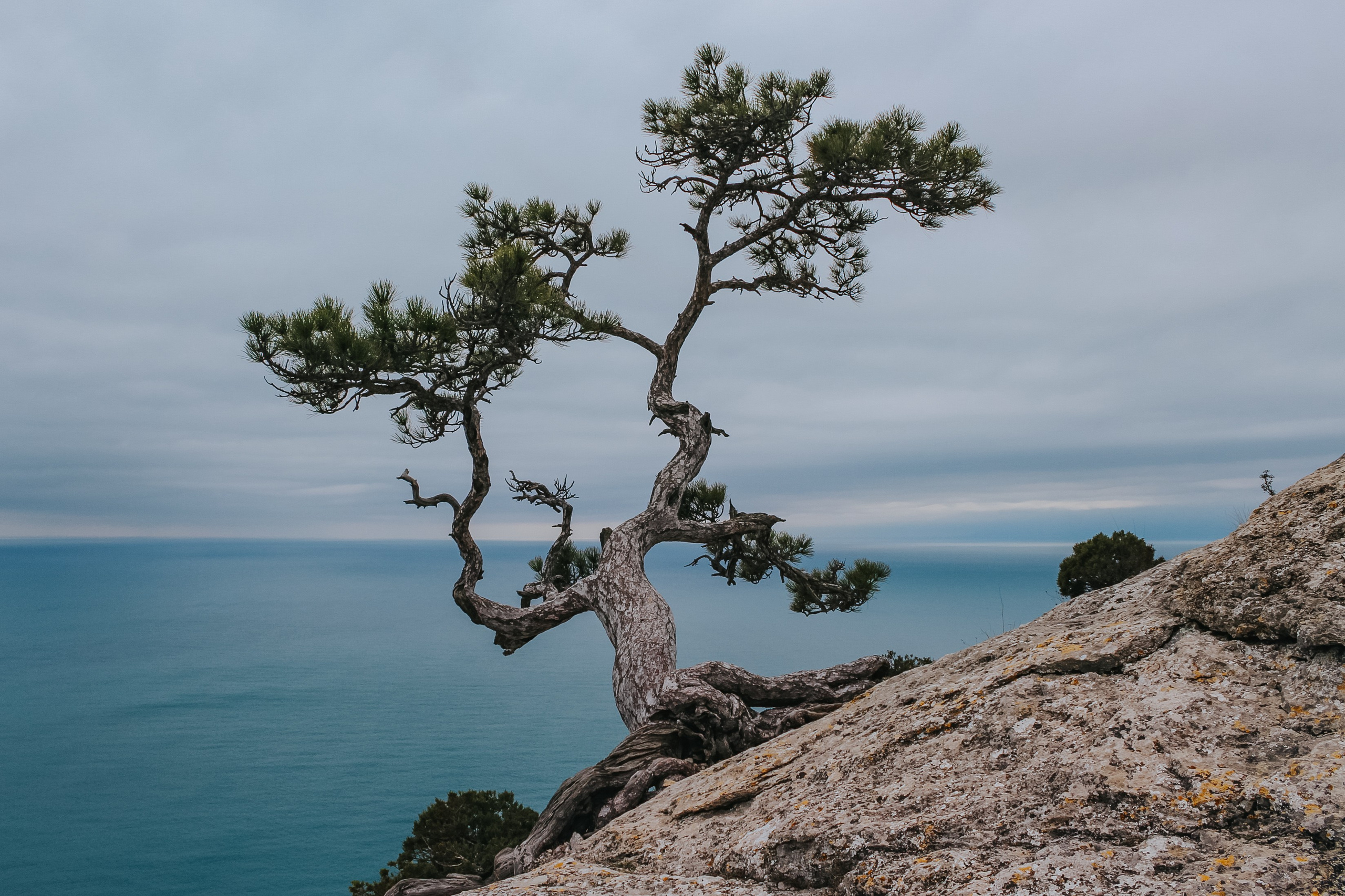 Ботанический заказник «Новый Свет». Репортажный фотограф в Крыму Ксения Гасица