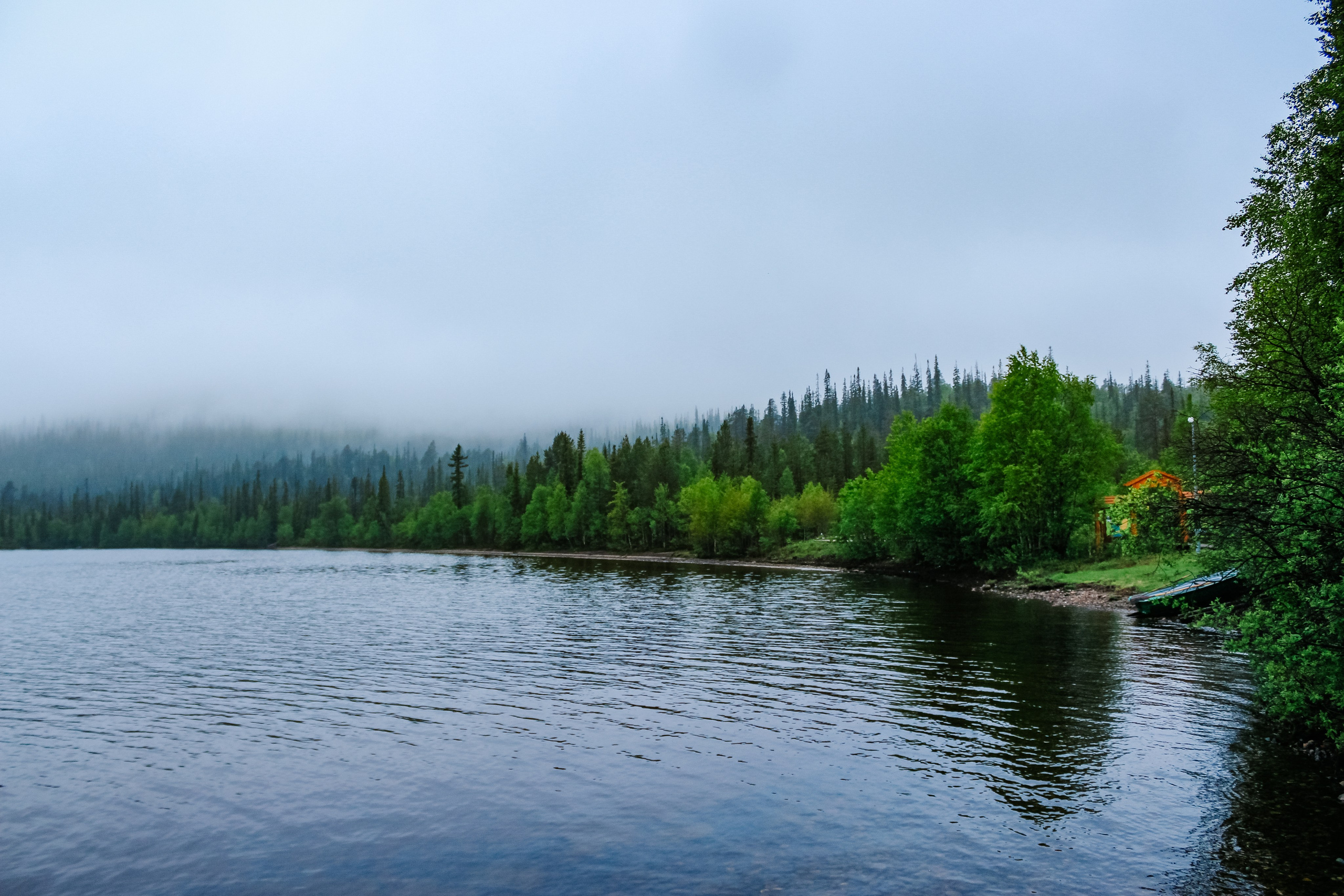 Лапландский заповедник. Репортажный фотограф в Крыму Ксения Гасица