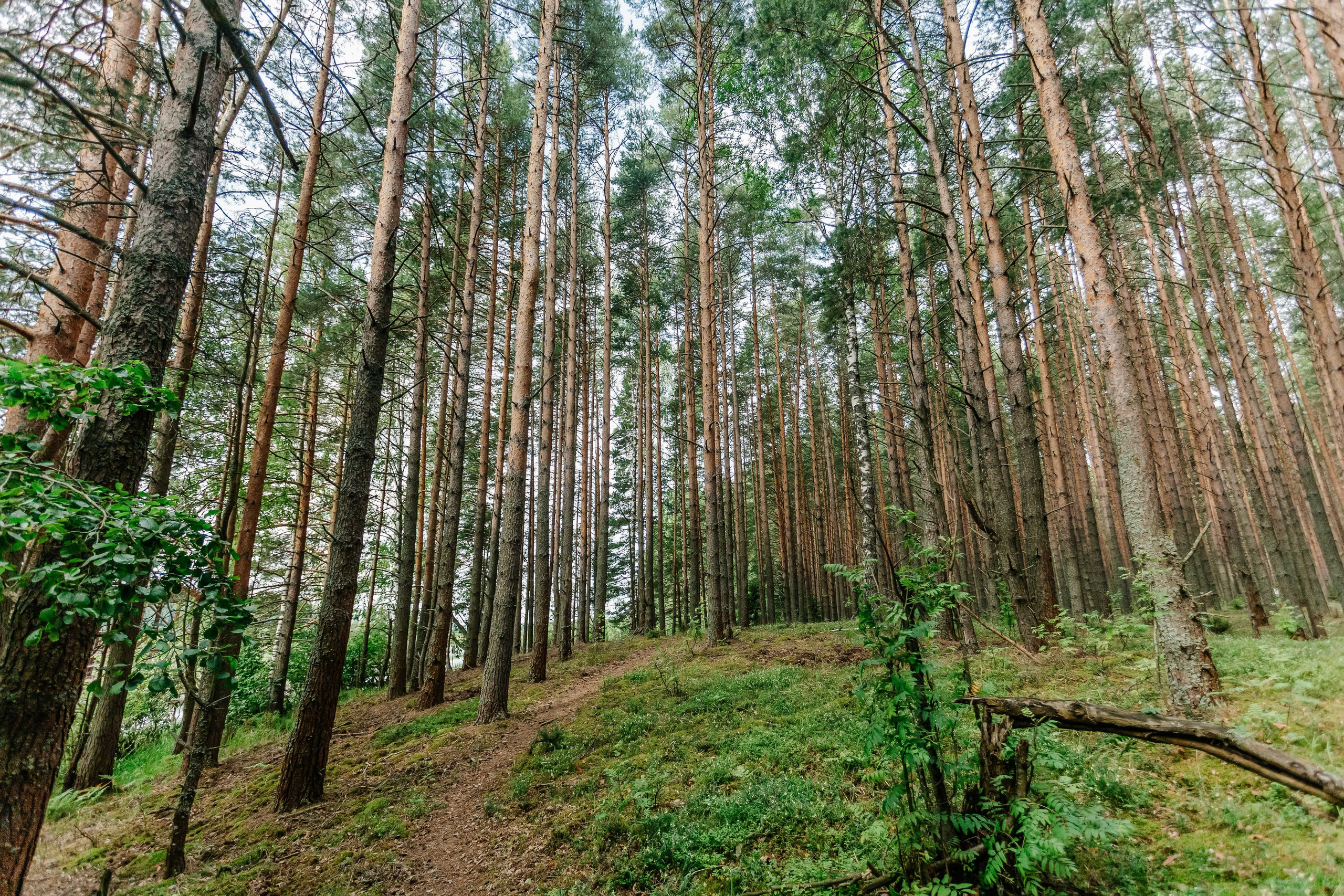 Дарвинский заповедник. Репортажный фотограф в Крыму Ксения Гасица