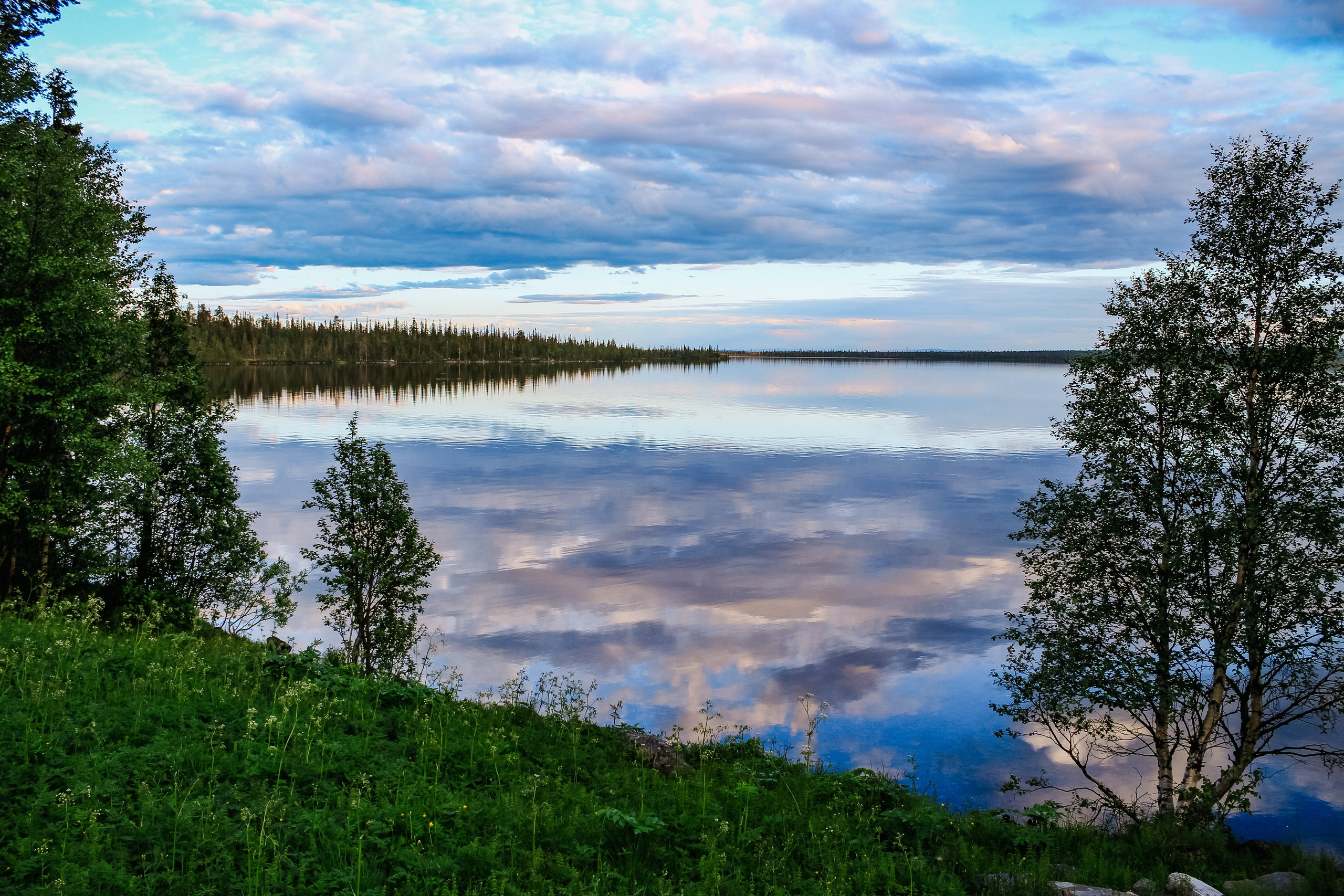 Лапландский заповедник. Репортажный фотограф в Крыму Ксения Гасица