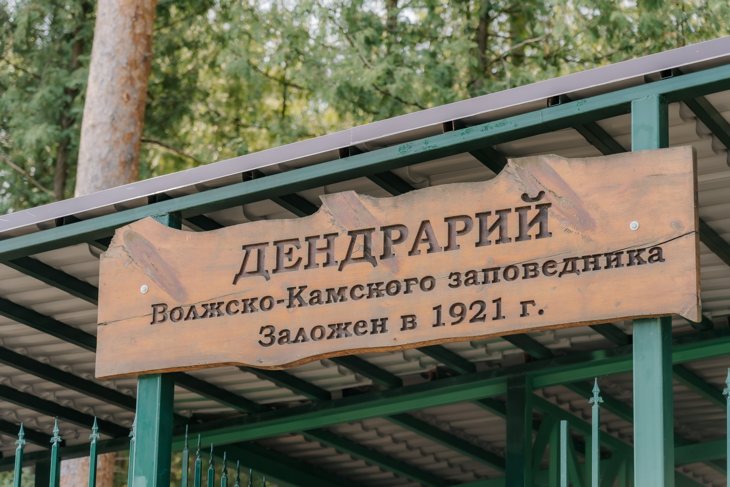Волжско-камский заповедник. Репортажный фотограф в Крыму Ксения Гасица
